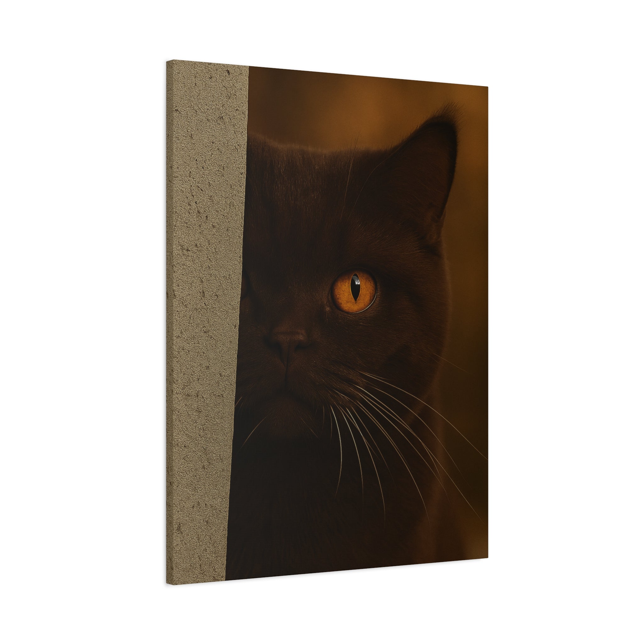 British Shorthair Chocolate Autumn Cat Portrait - Amber Eyes Canvas Wall Art