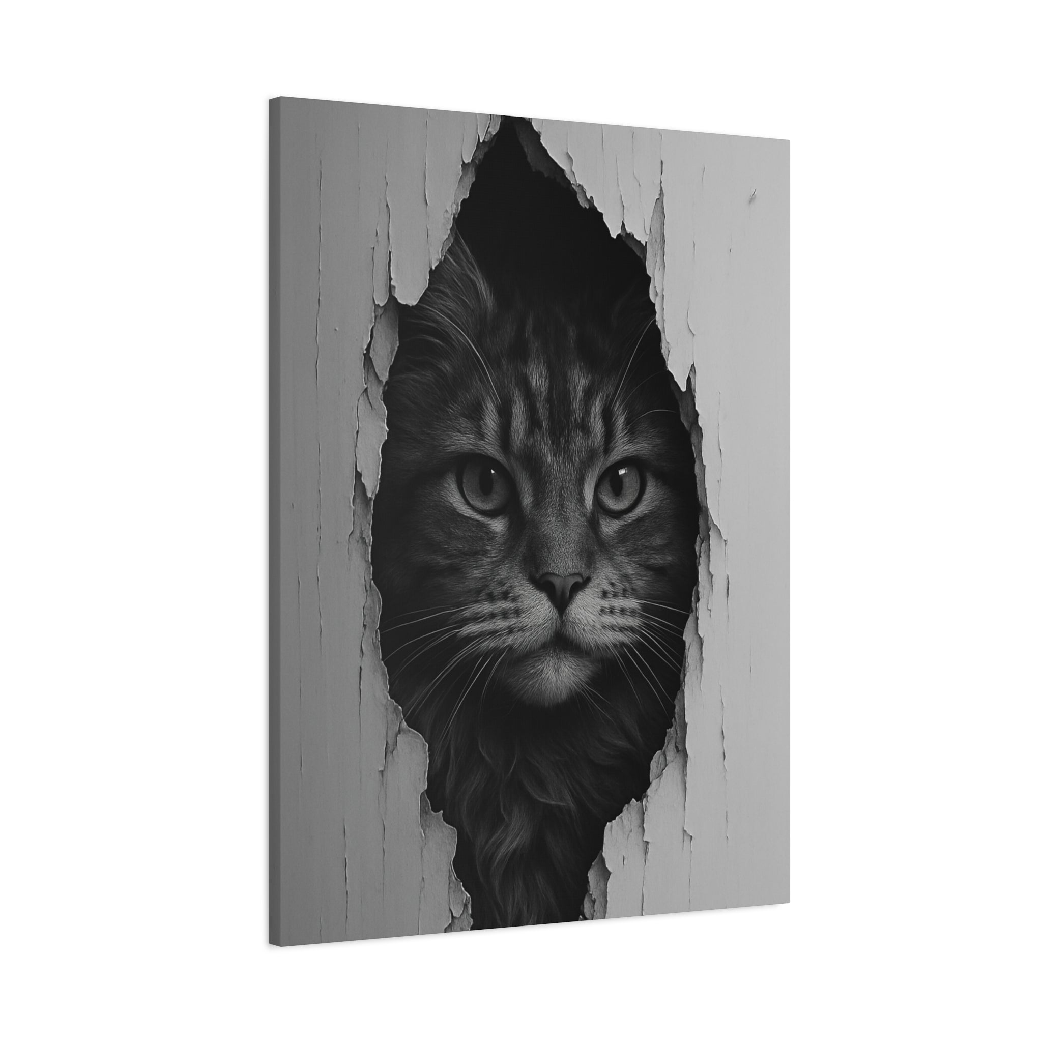 Maine Coon Noir Cat Portrait - Front View Canvas Wall Art