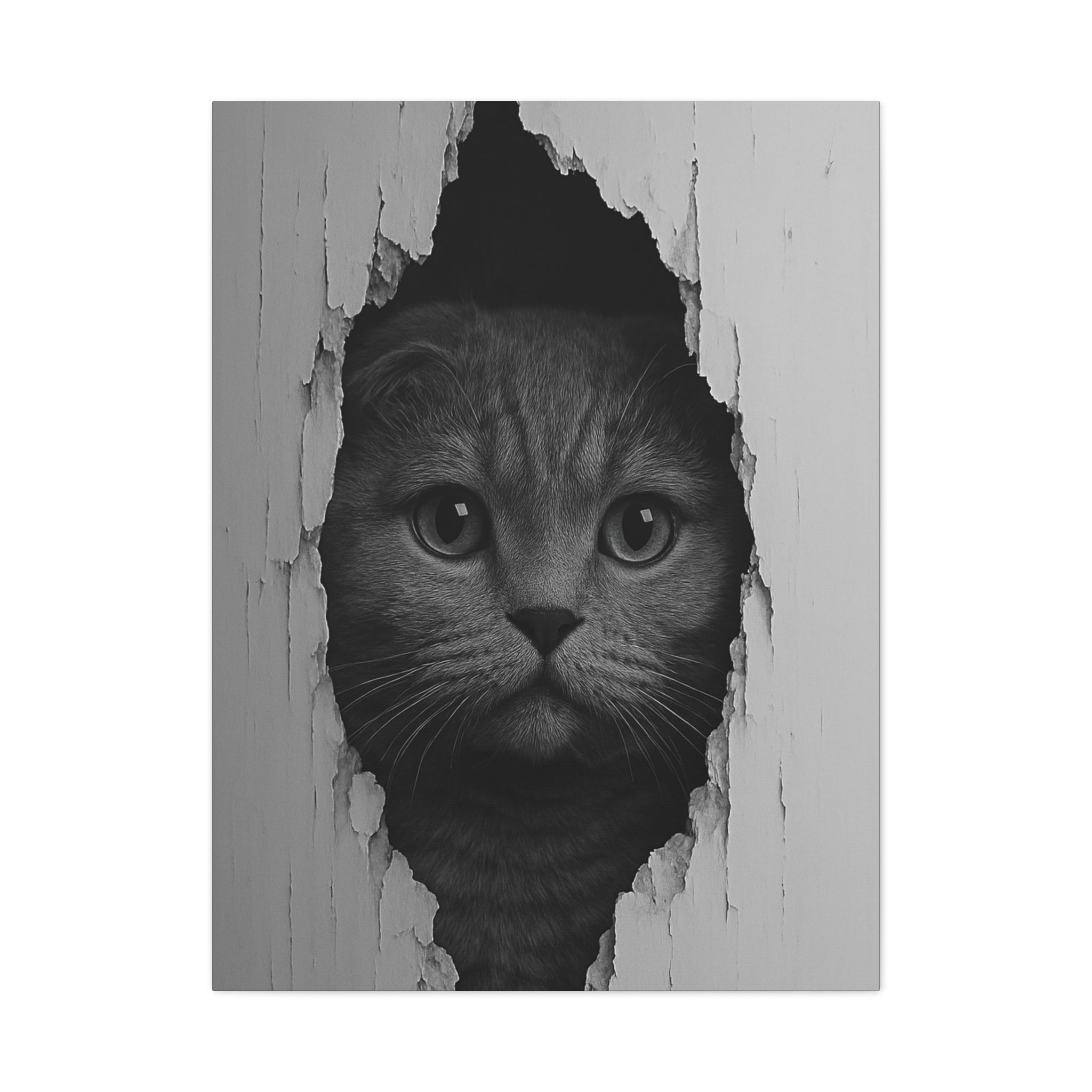 Scottish Fold Noir Cat Portrait – Front View Canvas Wall Art