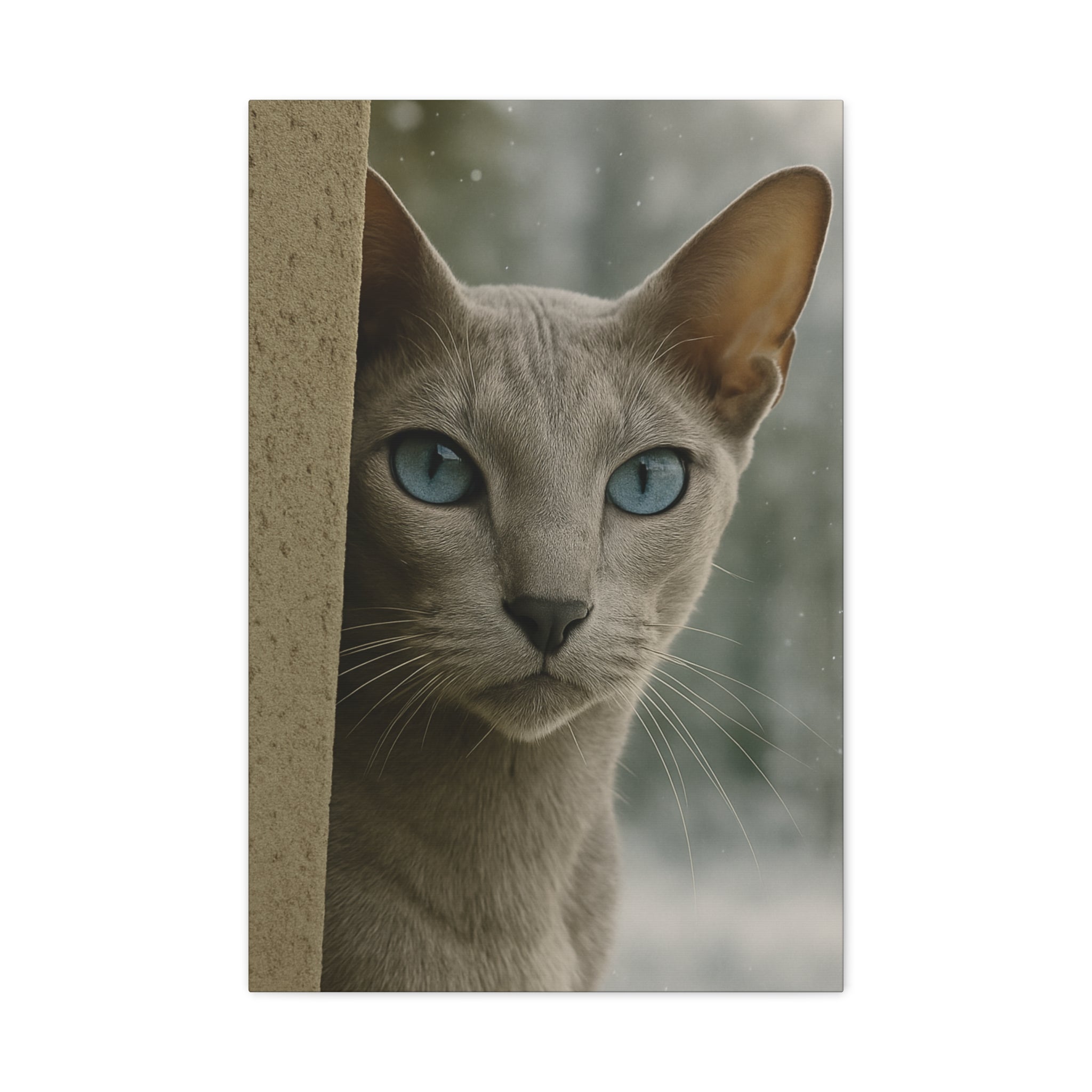 Grey Winter Cat Portrait - Ice Blue Eyes Canvas Wall Art