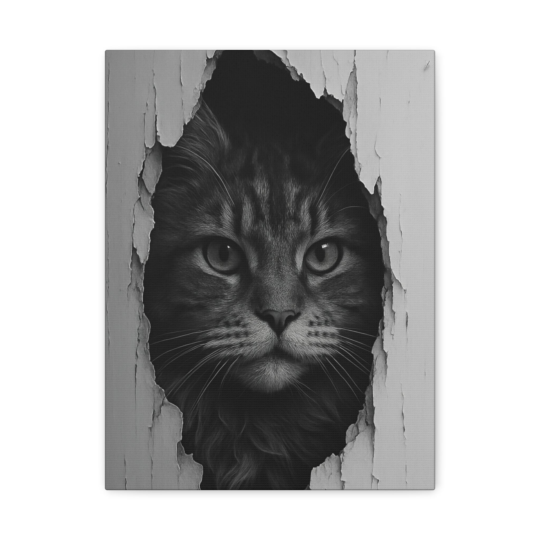 Maine Coon Noir Cat Portrait - Front View Canvas Wall Art