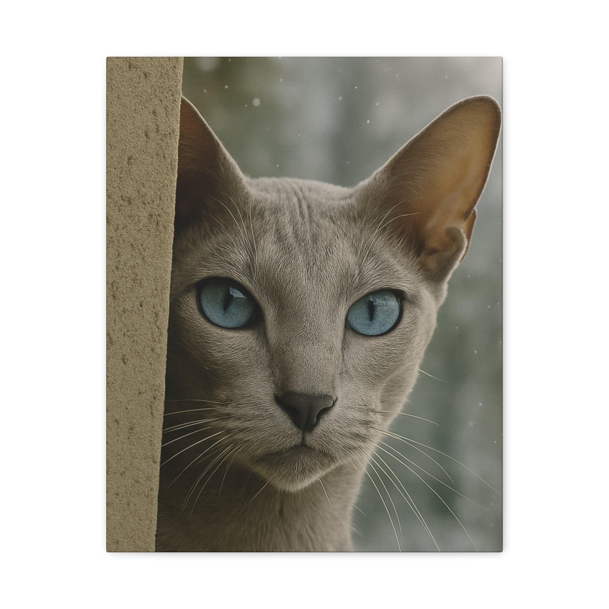 Grey Winter Cat Portrait - Ice Blue Eyes Canvas Wall Art