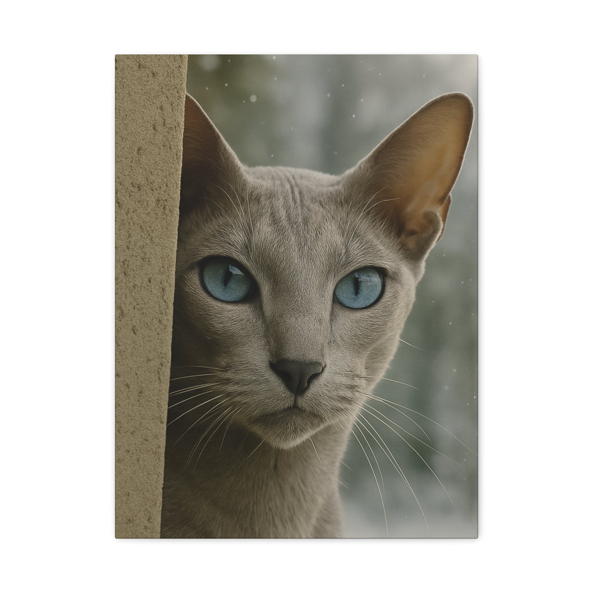 Grey Winter Cat Portrait - Ice Blue Eyes Canvas Wall Art