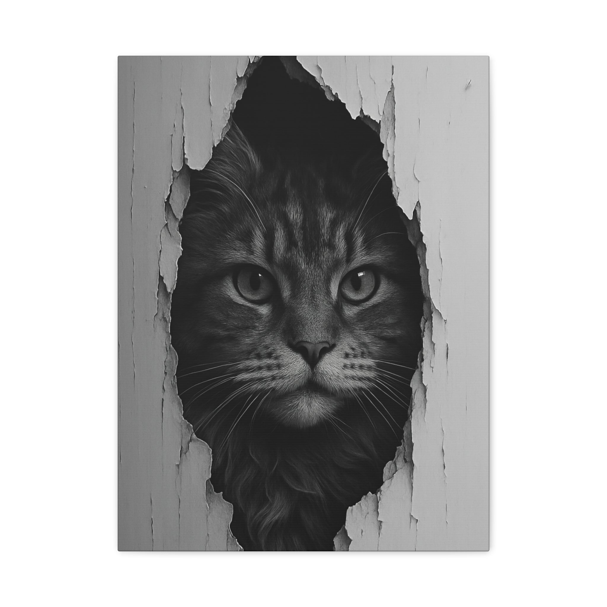 Maine Coon Noir Cat Portrait - Front View Canvas Wall Art