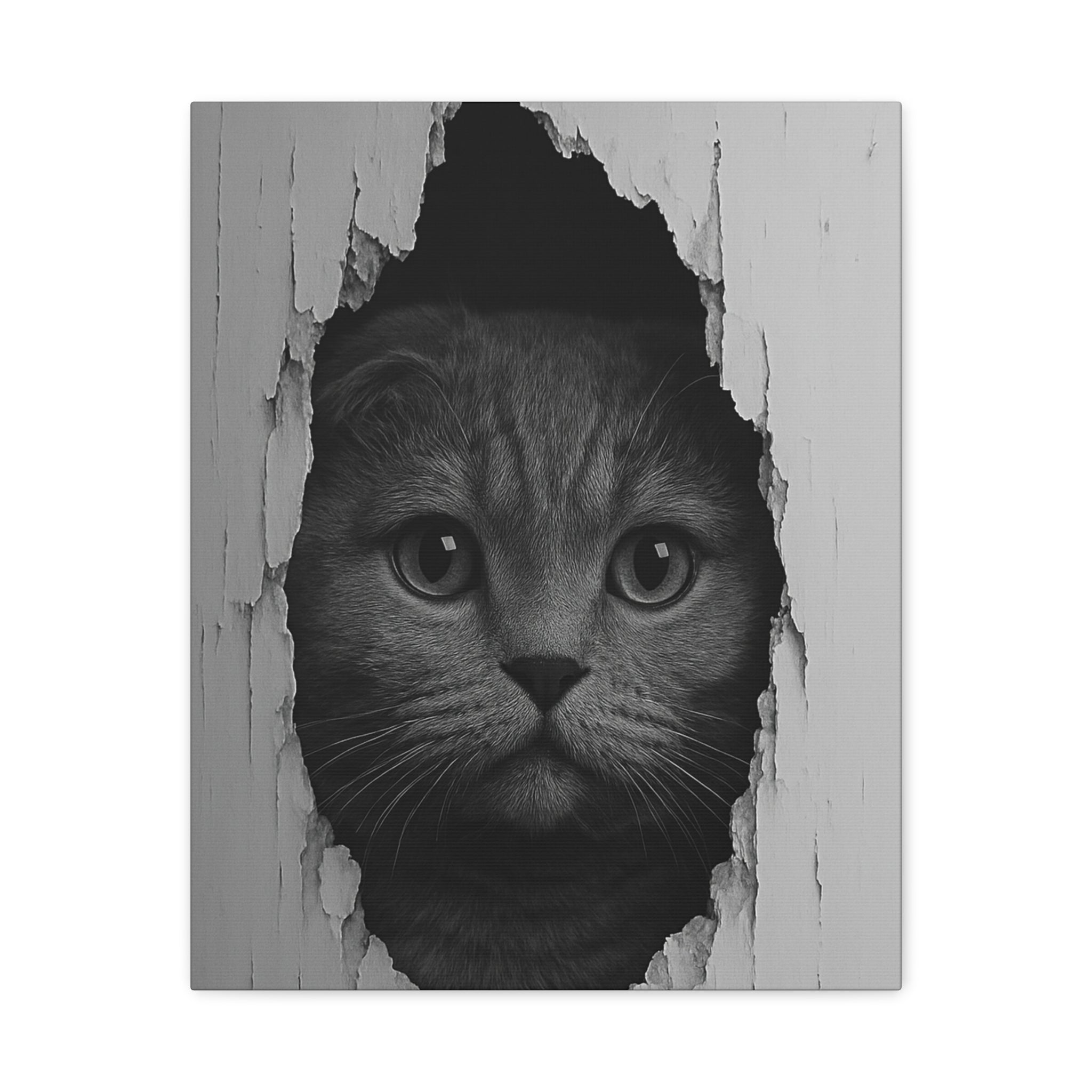 Scottish Fold Noir Cat Portrait – Front View Canvas Wall Art