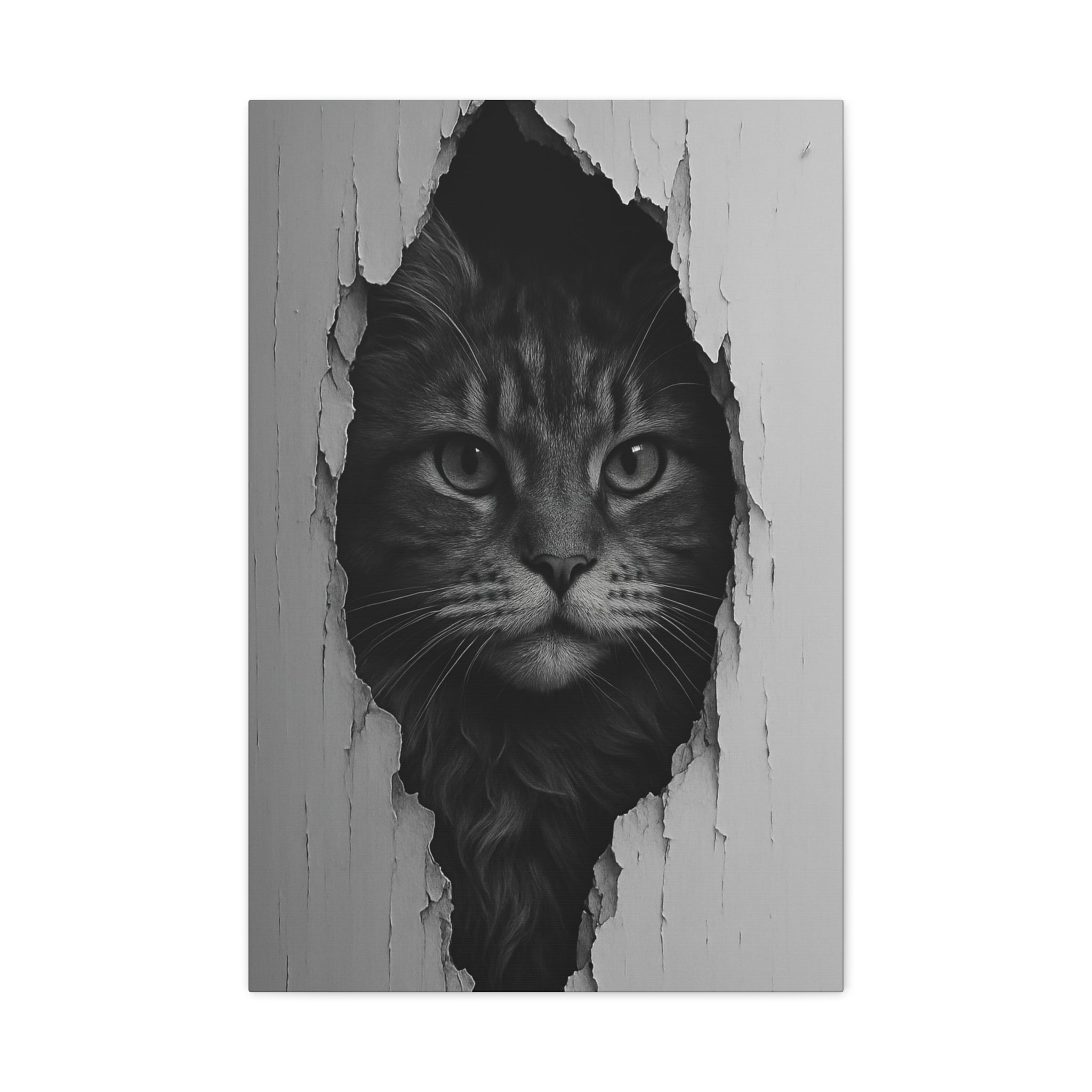 Maine Coon Noir Cat Portrait - Front View Canvas Wall Art