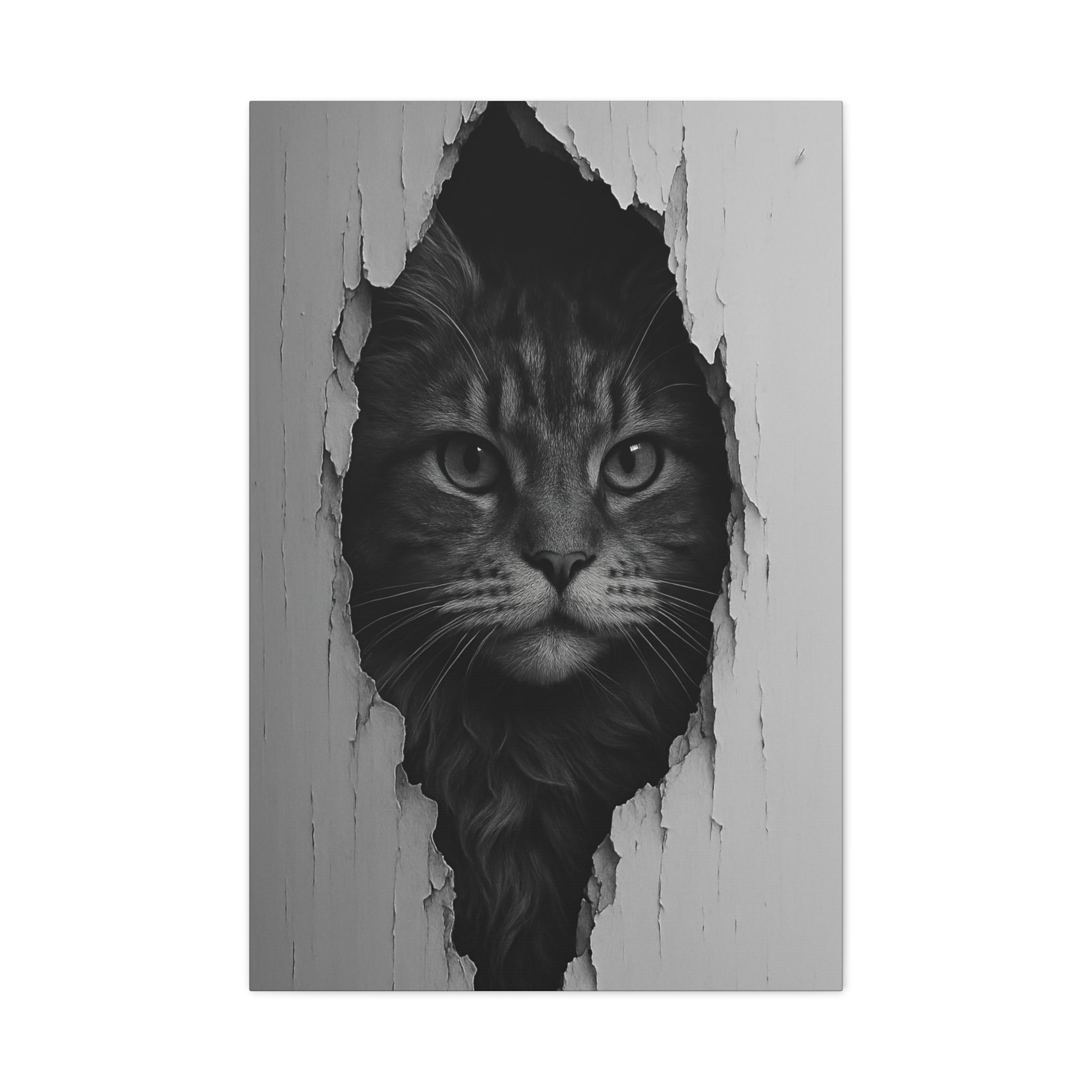 Maine Coon Noir Cat Portrait - Front View Canvas Wall Art