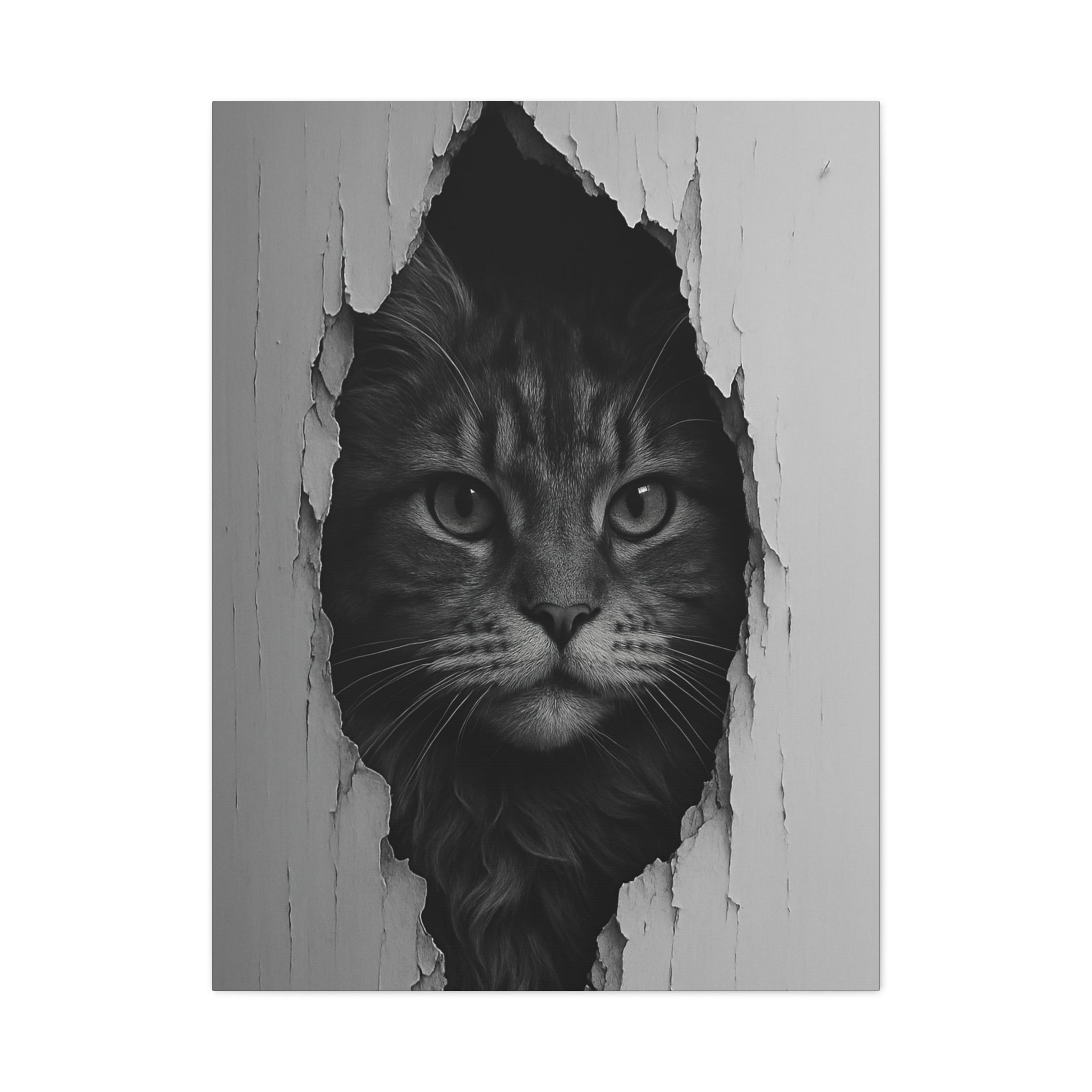 Maine Coon Noir Cat Portrait - Front View Canvas Wall Art