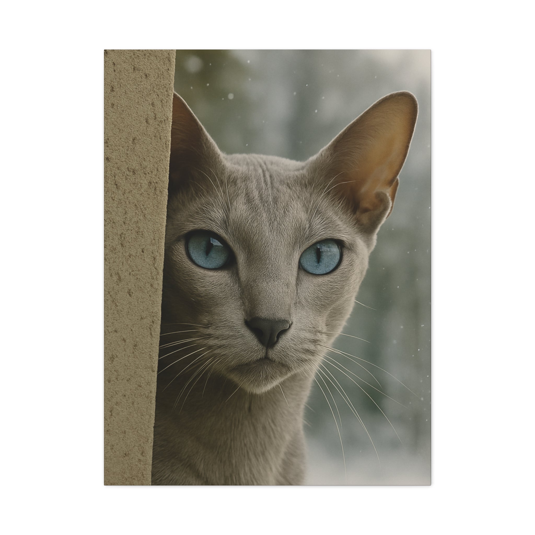 Grey Winter Cat Portrait - Ice Blue Eyes Canvas Wall Art
