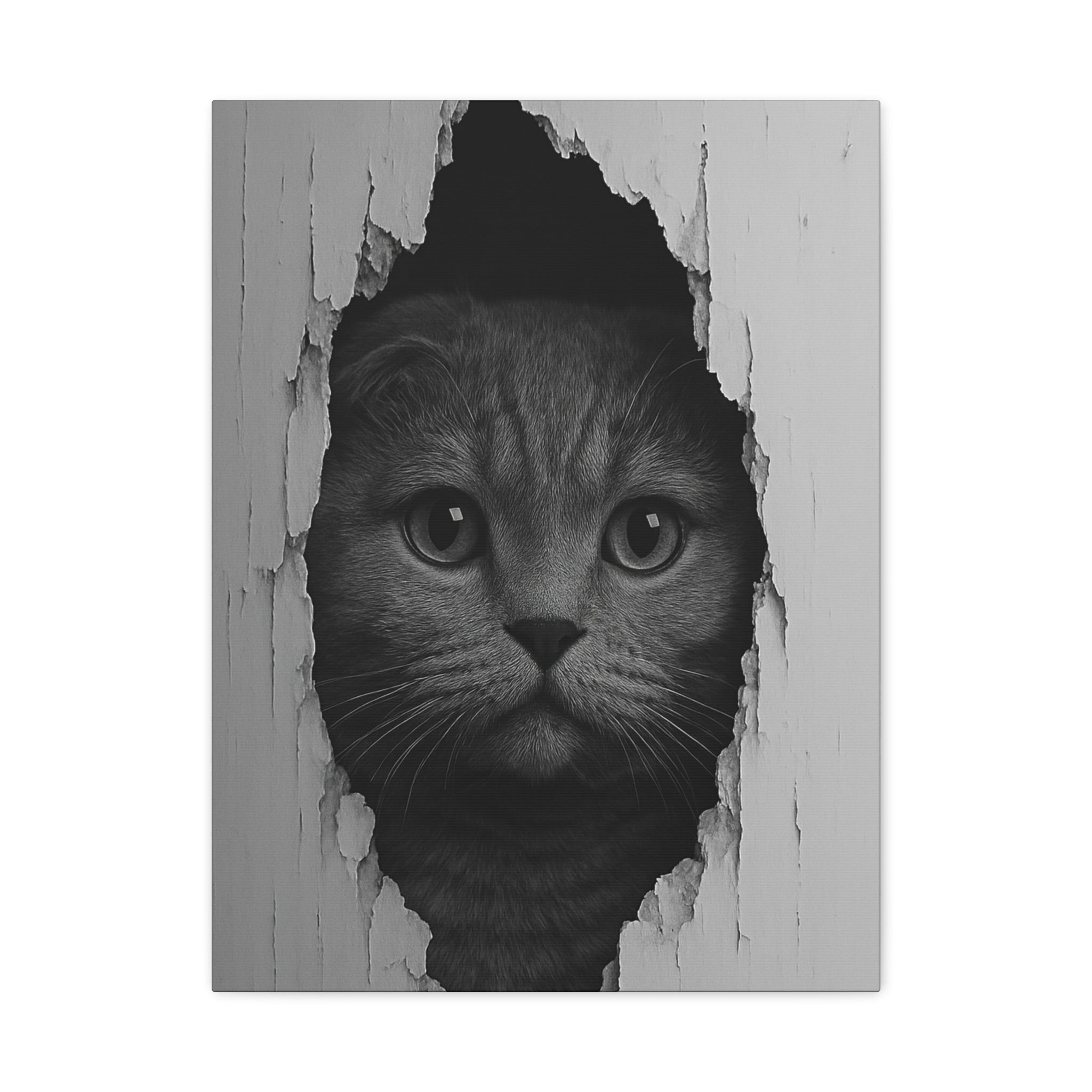 Scottish Fold Noir Cat Portrait – Front View Canvas Wall Art