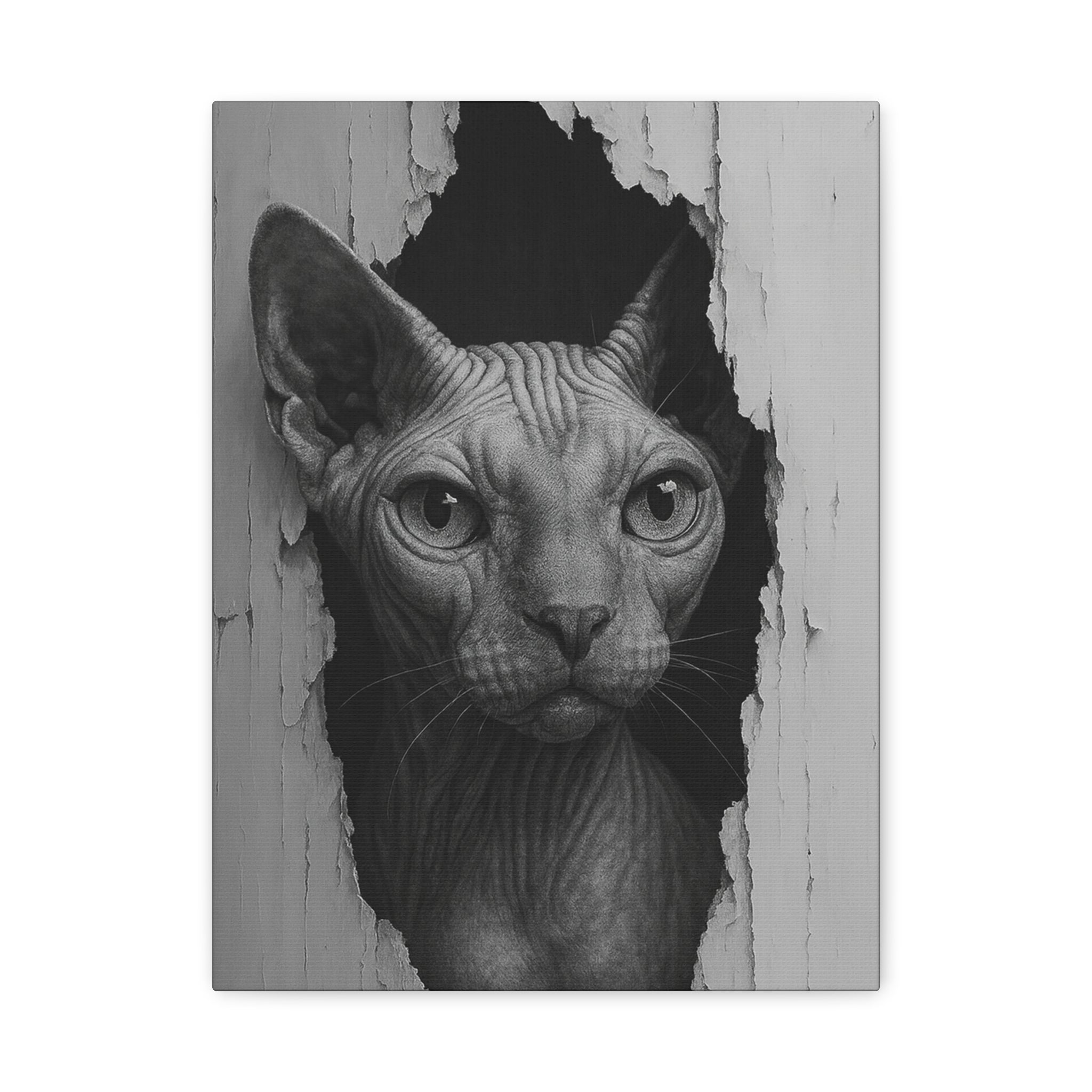 Sphynx Noir Cat Portrait - Front View Canvas Wall Art