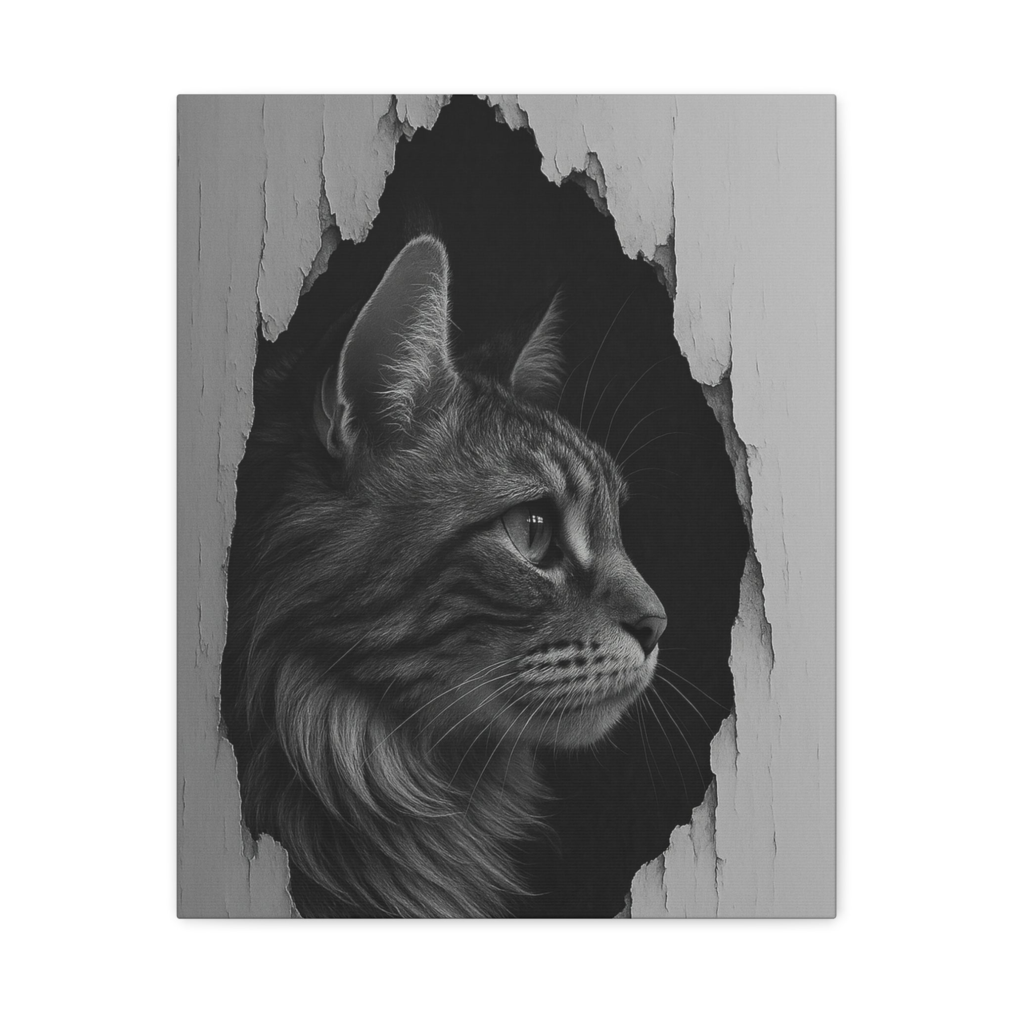 Maine Coon Noir Cat Portrait – Side Profile Canvas Wall Art