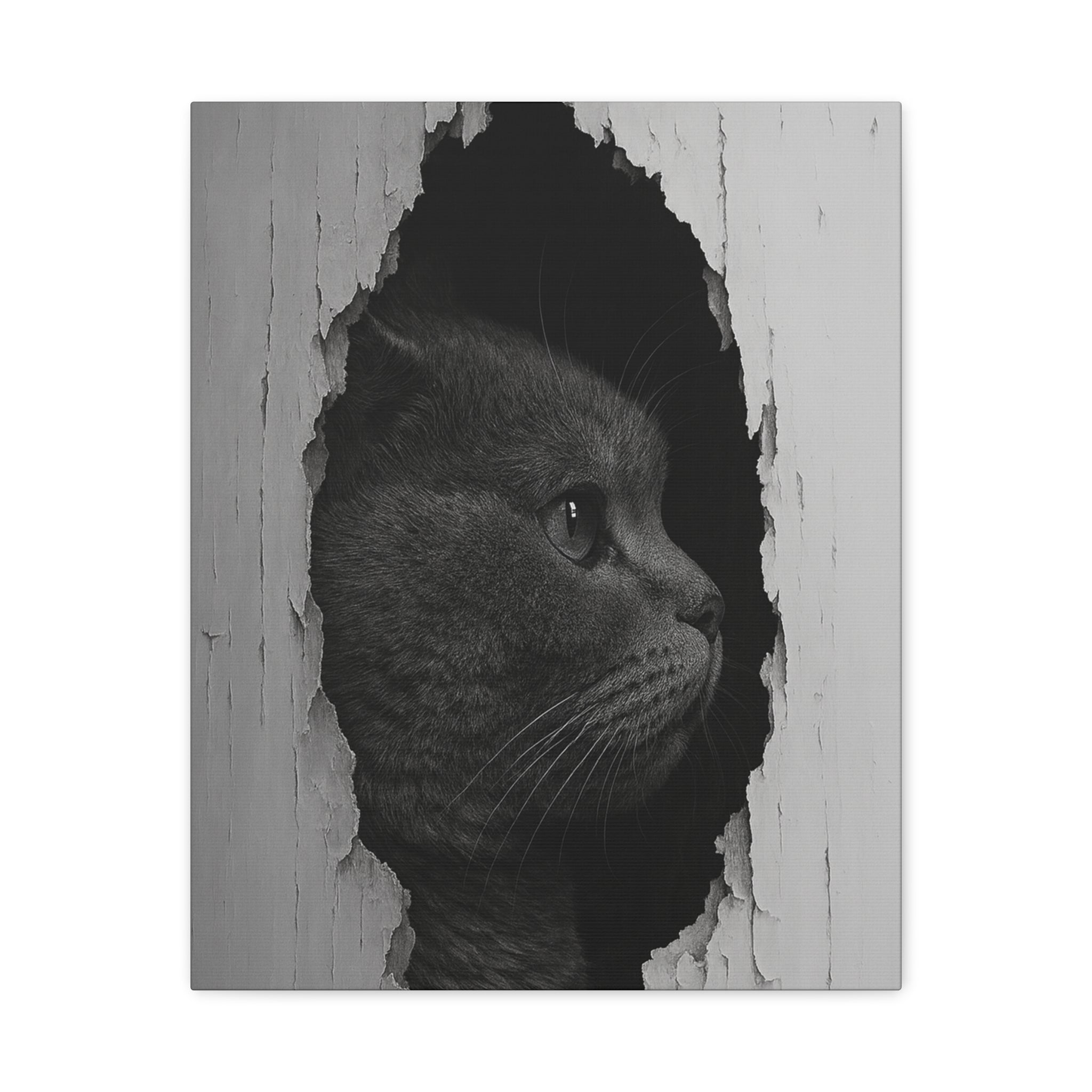British Shorthair Noir Cat Portrait - Side Profile Canvas Wall Art