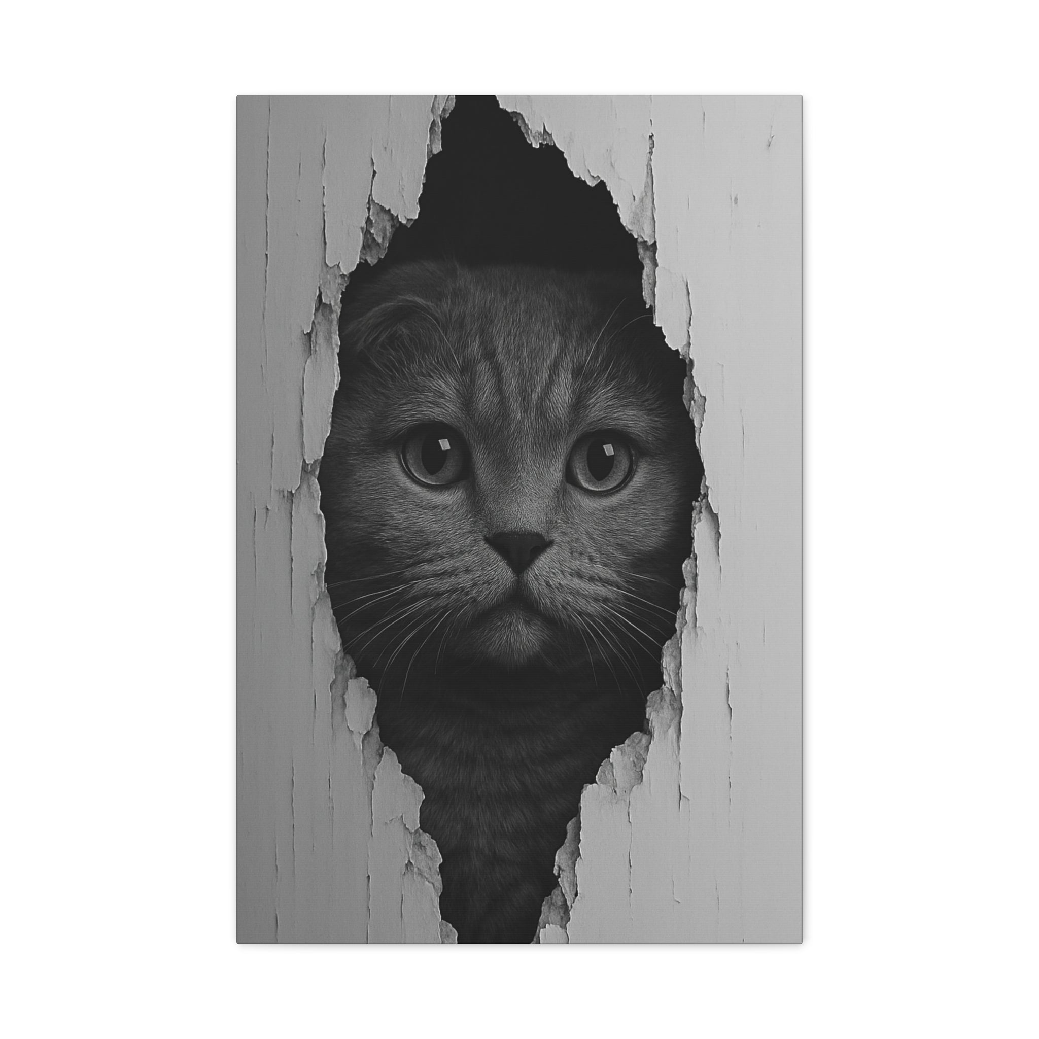 Scottish Fold Noir Cat Portrait – Front View Canvas Wall Art