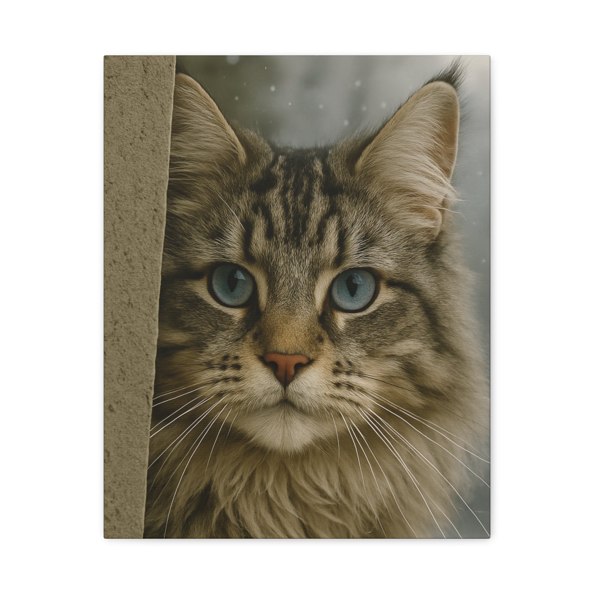 Maine Coon Winter Cat Portrait - Ice Blue Eyes Canvas Wall Art