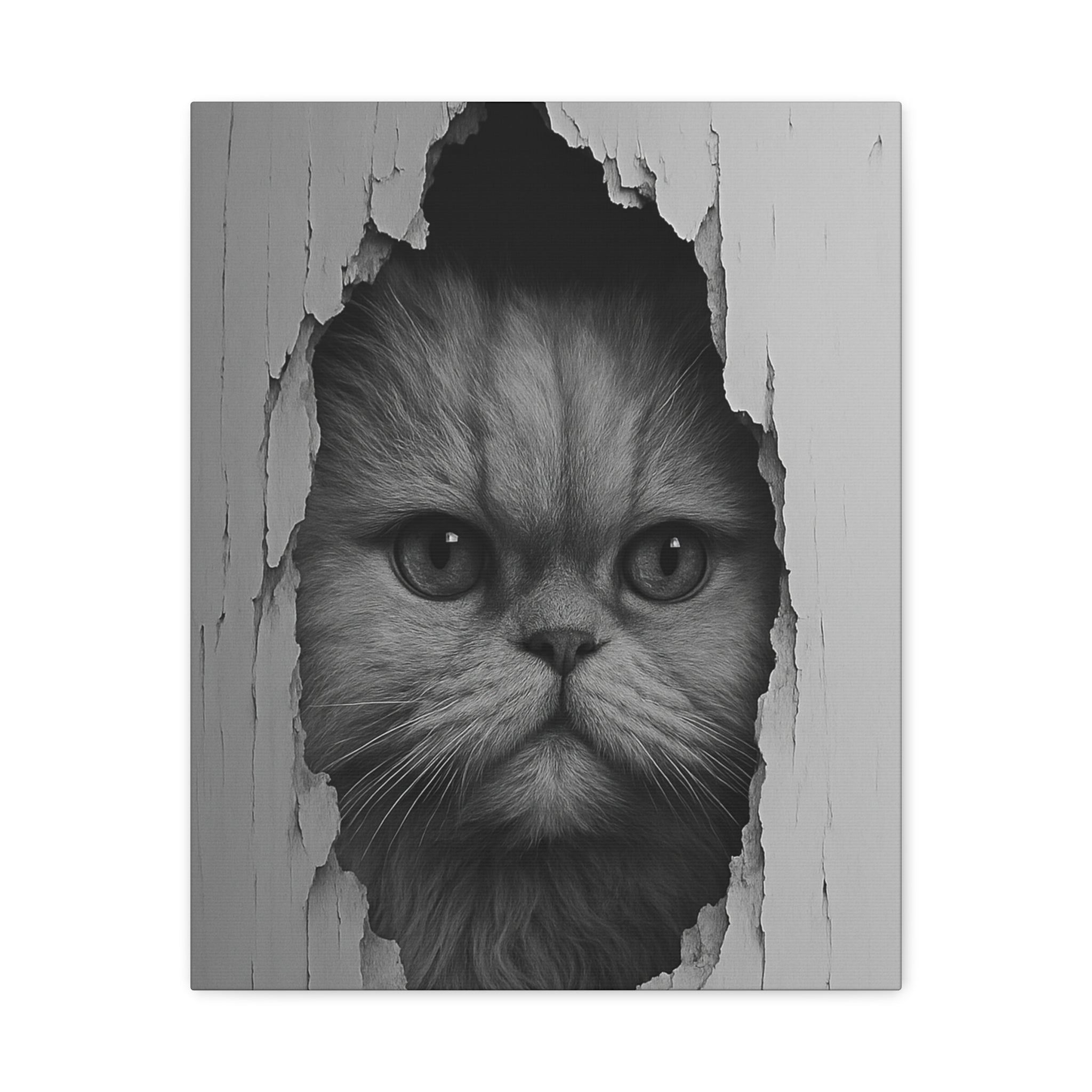 Persian Noir Cat Portrait – Front View Canvas Wall Art
