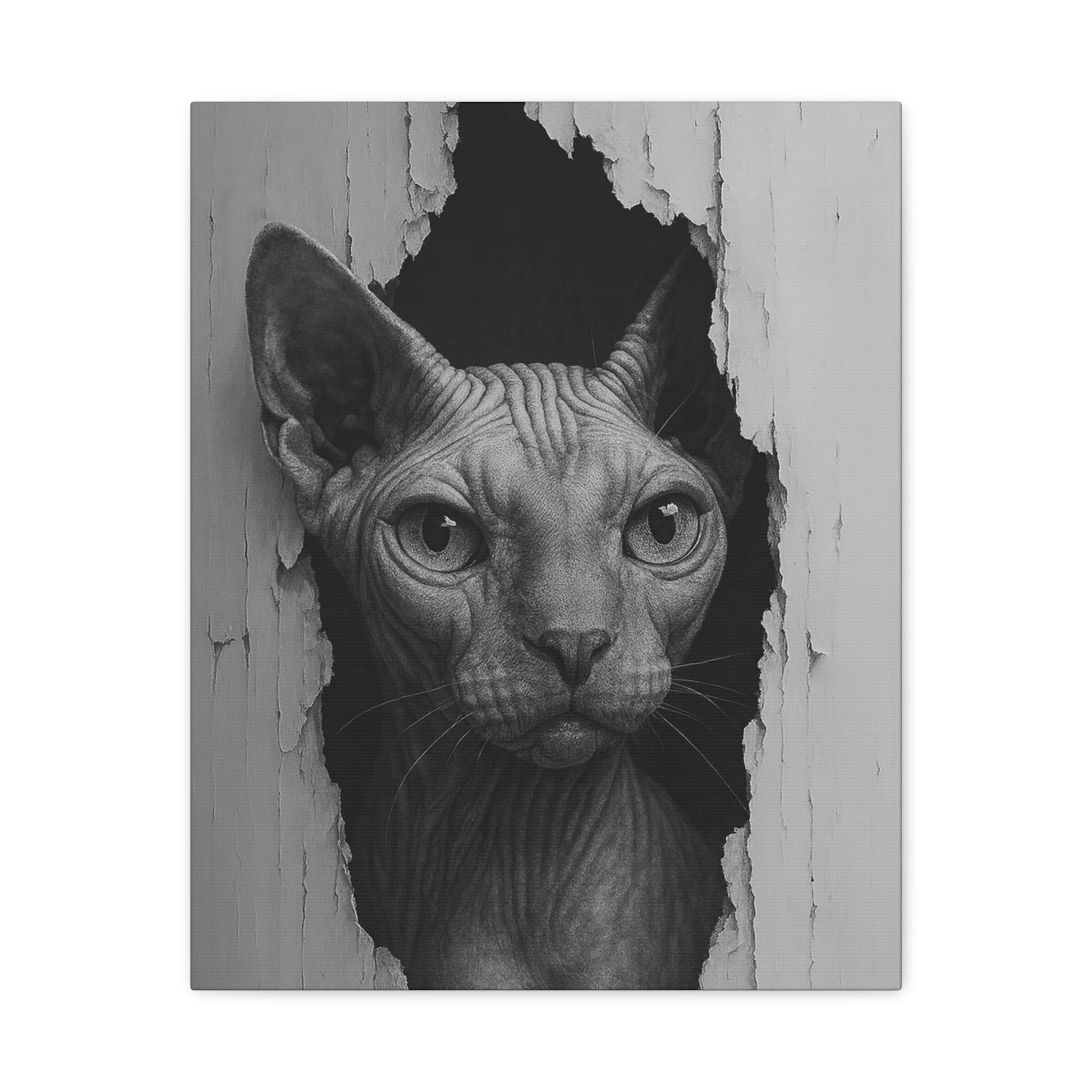 Sphynx Noir Cat Portrait - Front View Canvas Wall Art