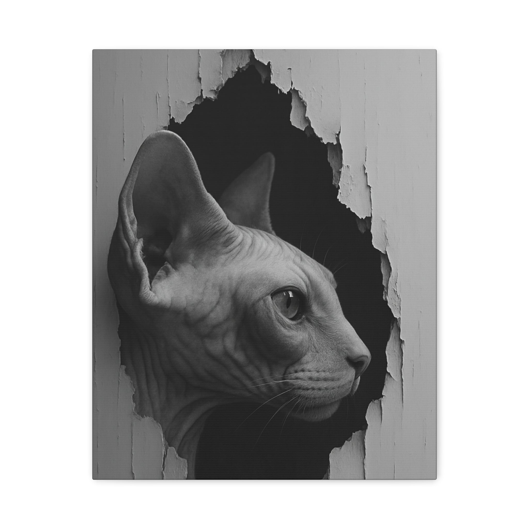 Sphynx Noir Cat Portrait - Side Profile Canvas Wall Art
