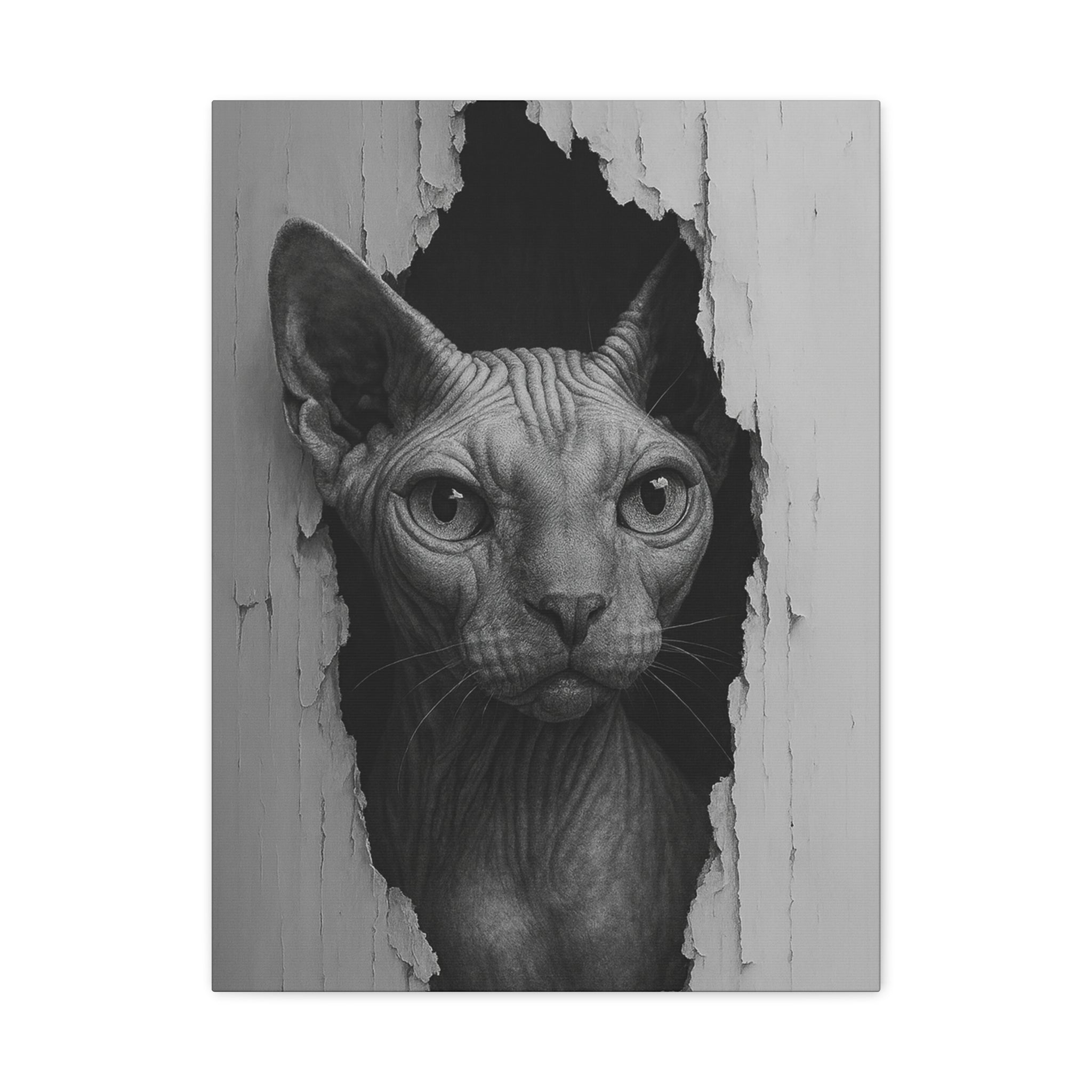 Sphynx Noir Cat Portrait - Front View Canvas Wall Art