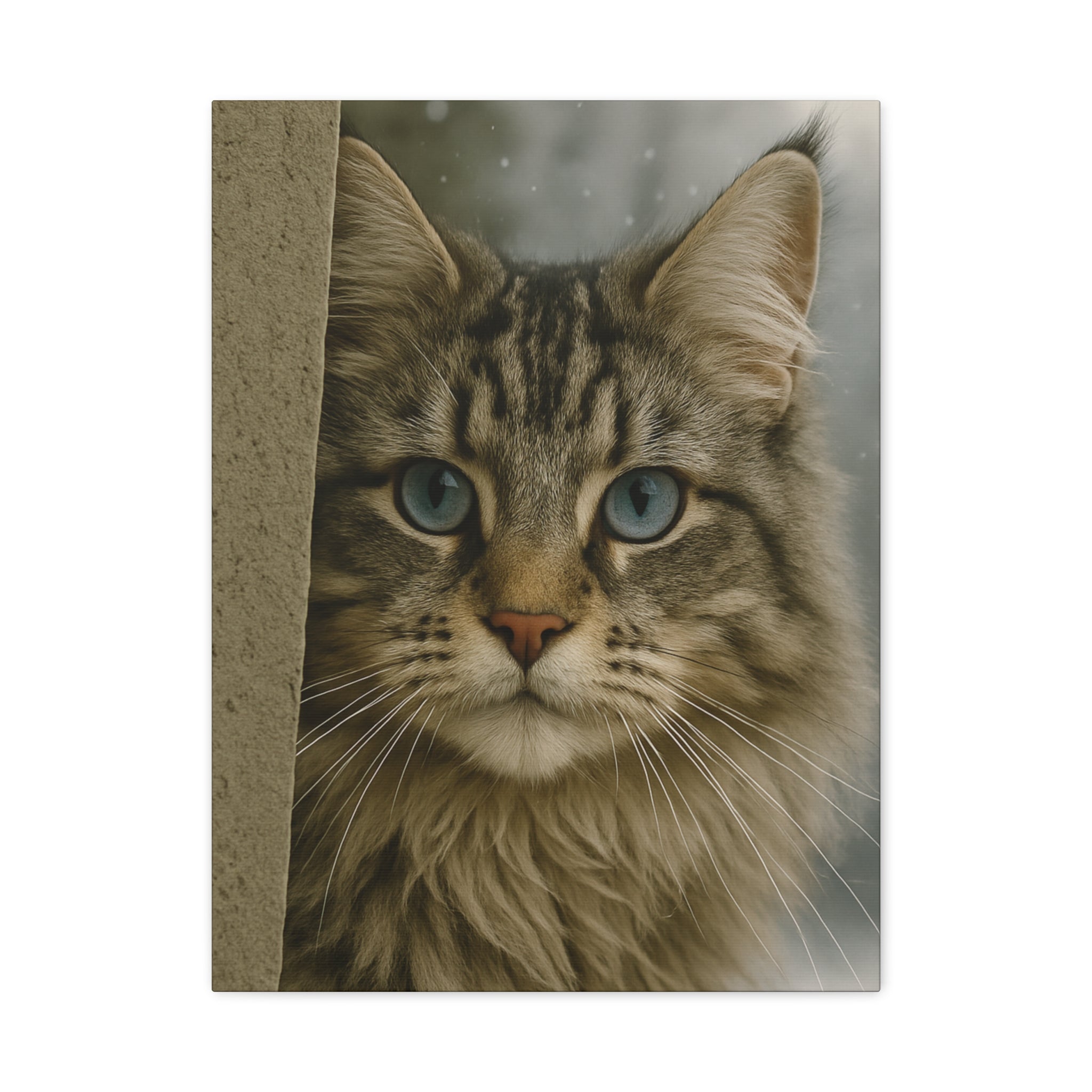 Maine Coon Winter Cat Portrait - Ice Blue Eyes Canvas Wall Art