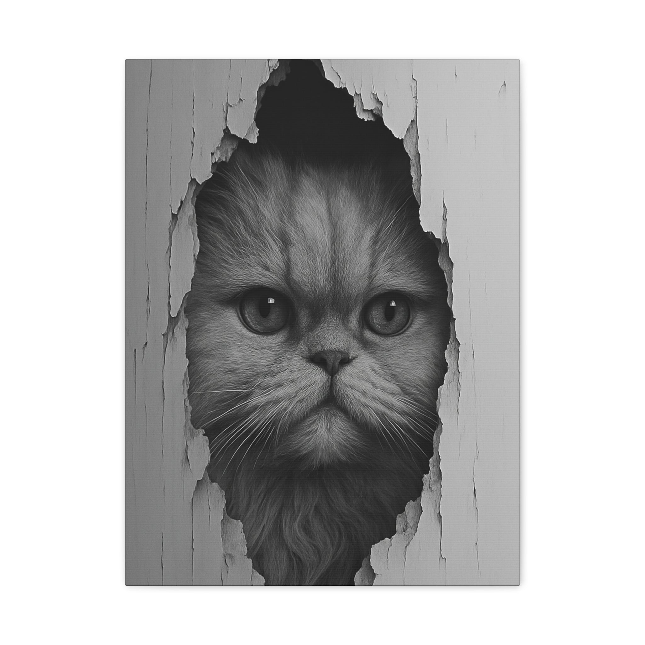 Persian Noir Cat Portrait – Front View Canvas Wall Art