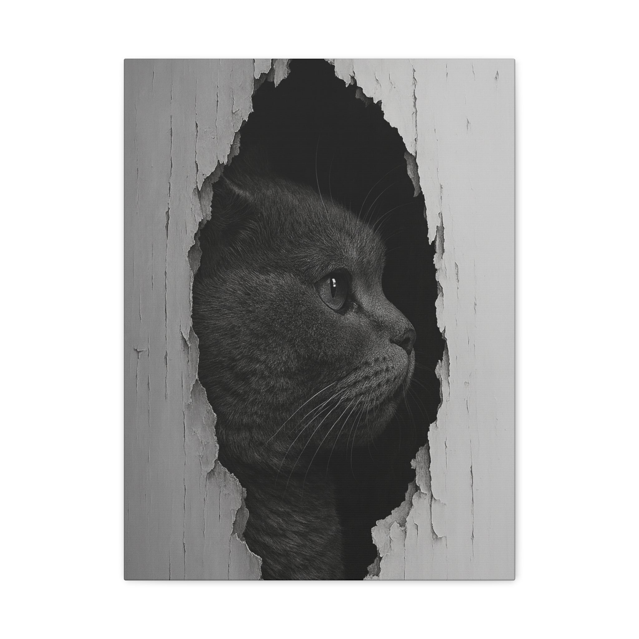 British Shorthair Noir Cat Portrait - Side Profile Canvas Wall Art