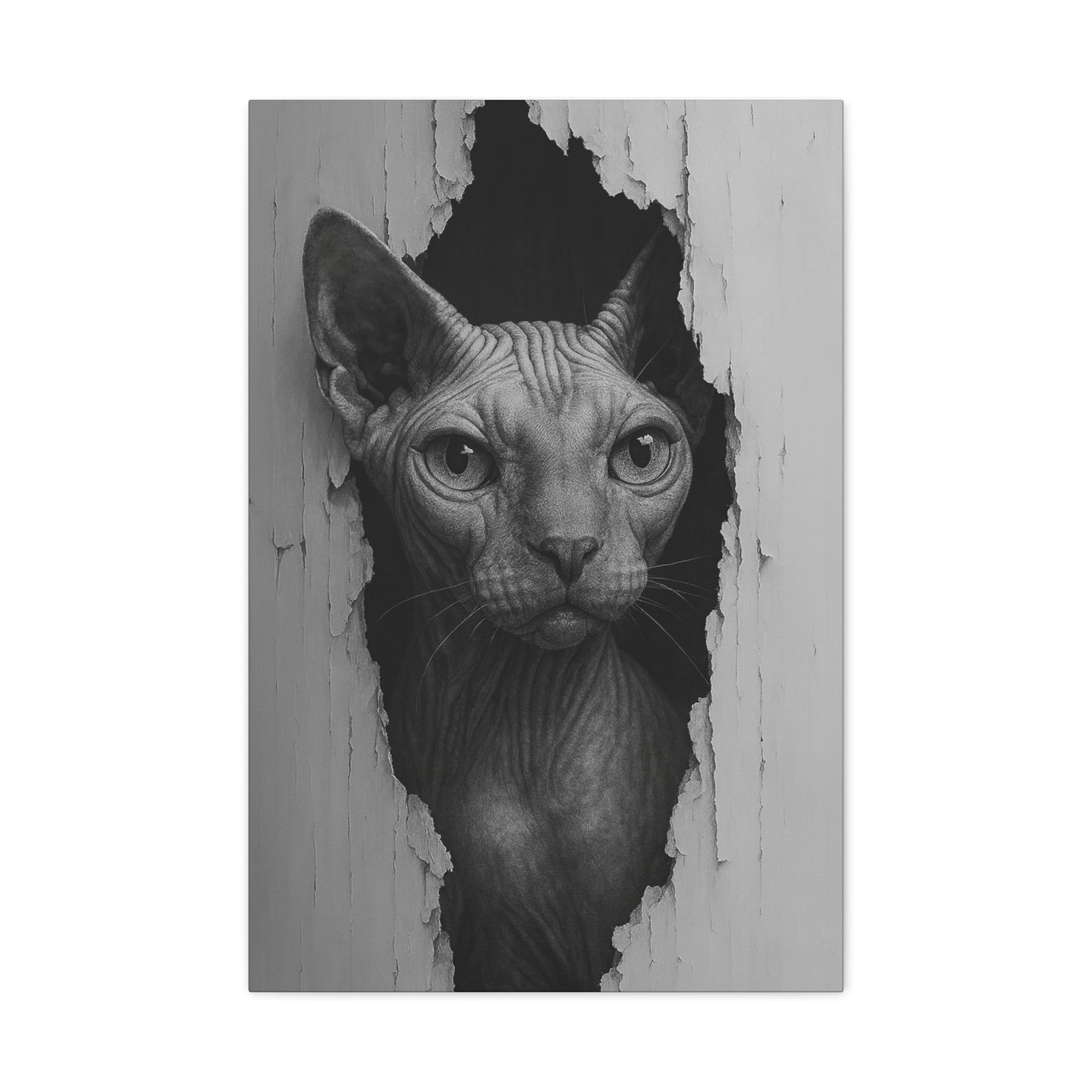 Sphynx Noir Cat Portrait - Front View Canvas Wall Art