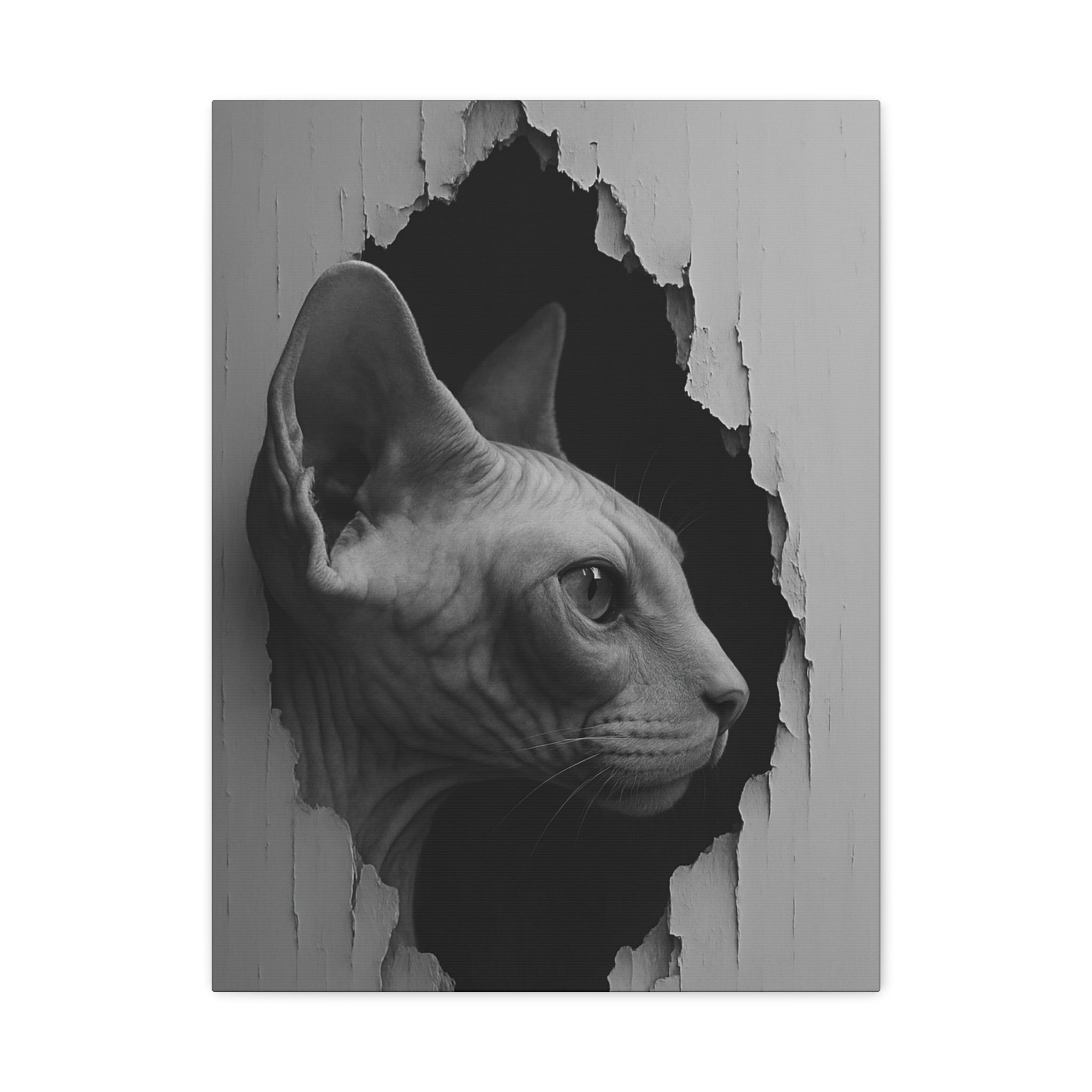 Sphynx Noir Cat Portrait - Side Profile Canvas Wall Art