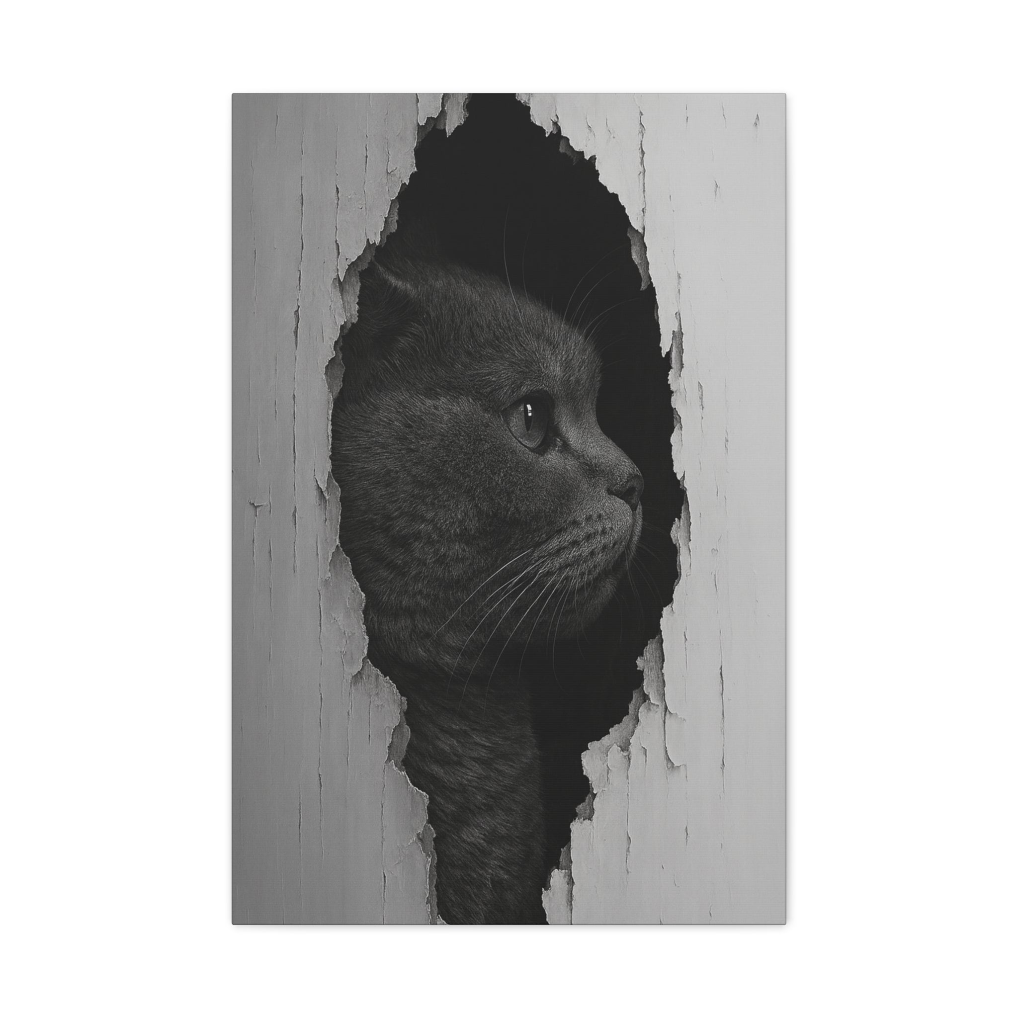 British Shorthair Noir Cat Portrait - Side Profile Canvas Wall Art