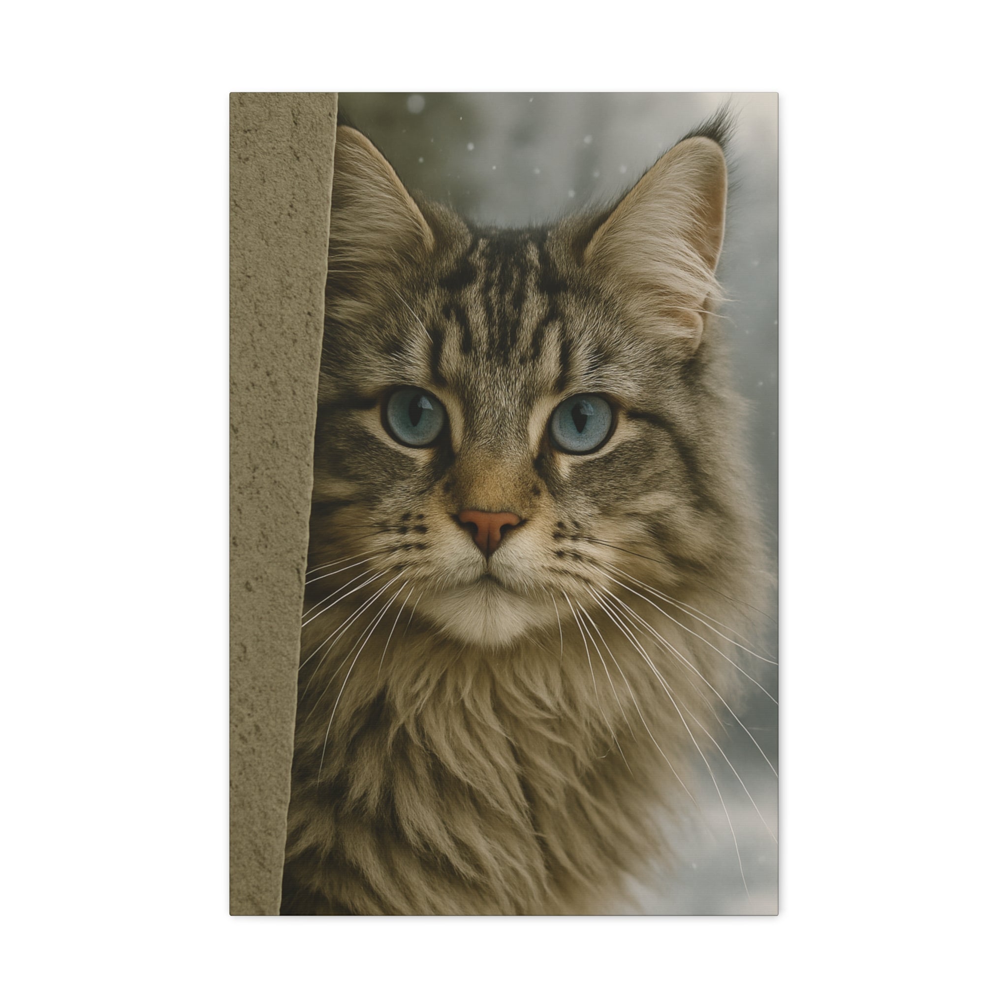 Maine Coon Winter Cat Portrait - Ice Blue Eyes Canvas Wall Art