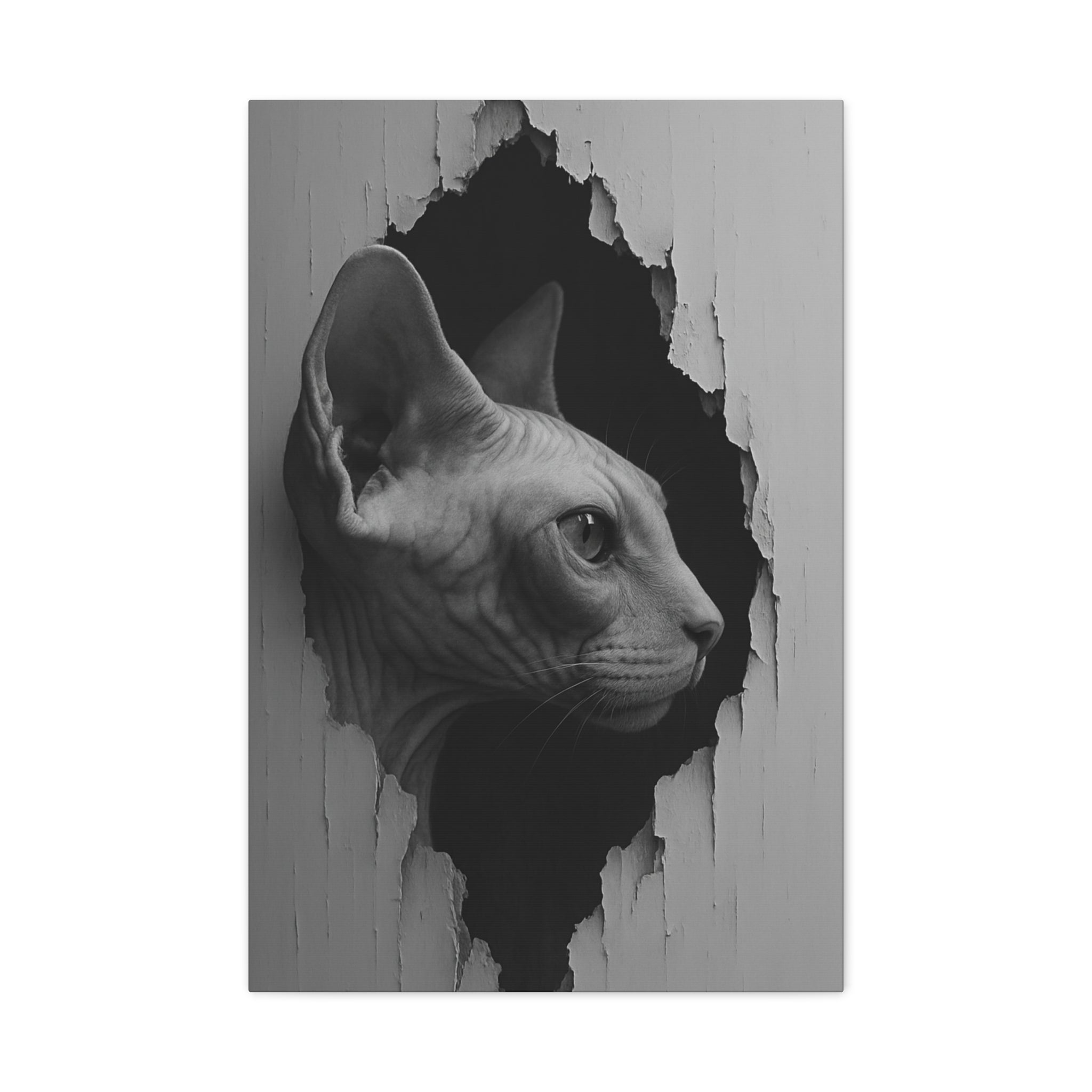 Sphynx Noir Cat Portrait - Side Profile Canvas Wall Art