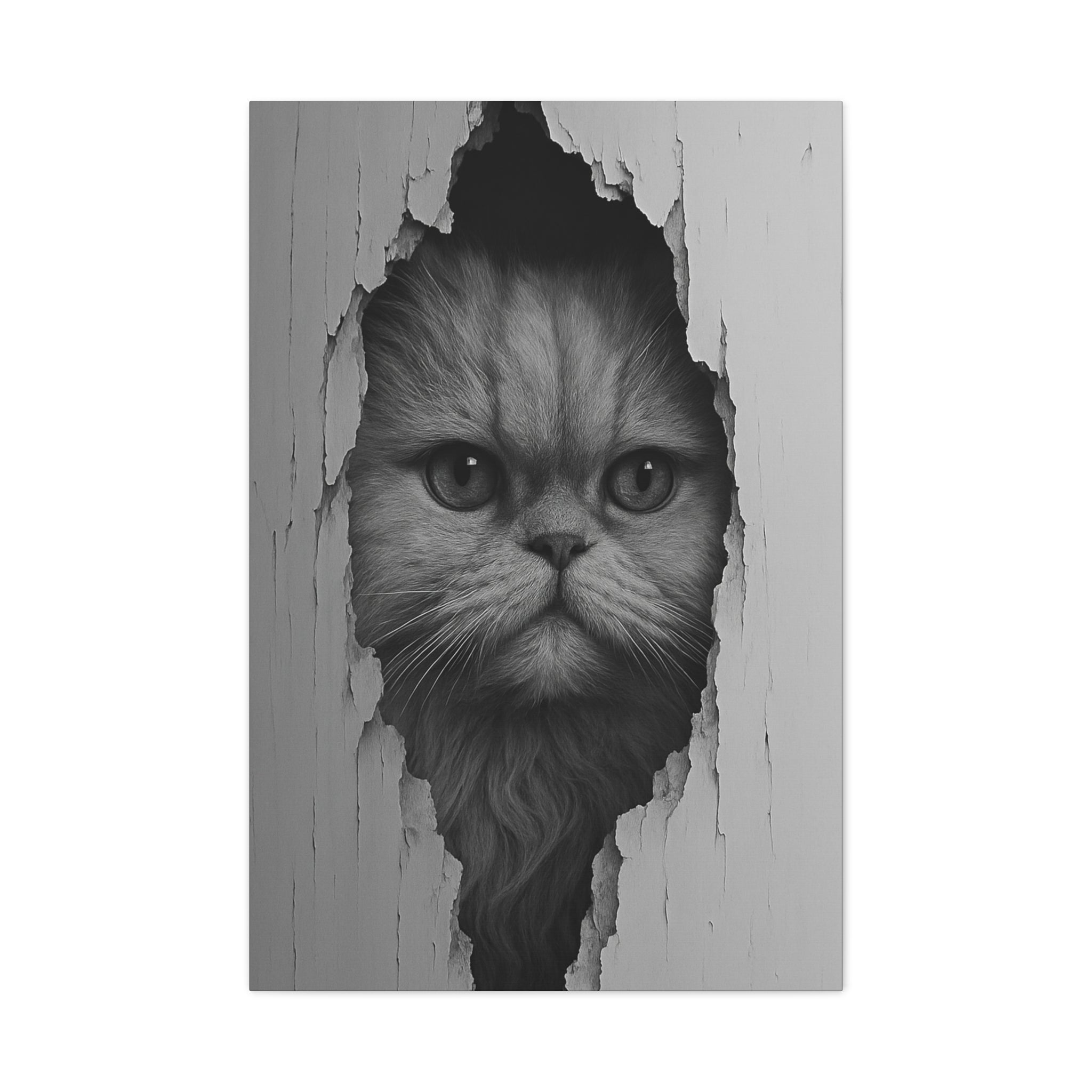 Persian Noir Cat Portrait – Front View Canvas Wall Art