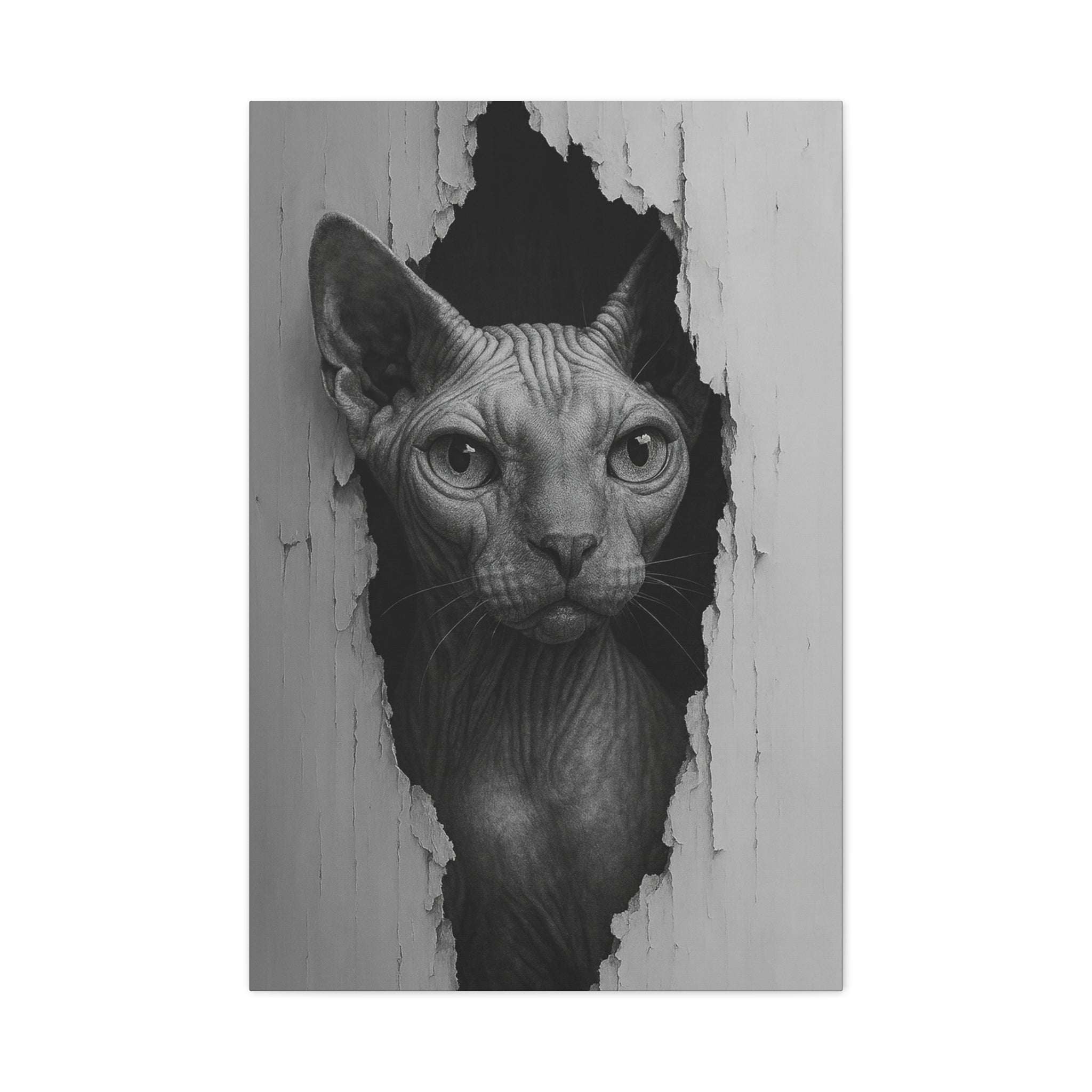 Sphynx Noir Cat Portrait - Front View Canvas Wall Art