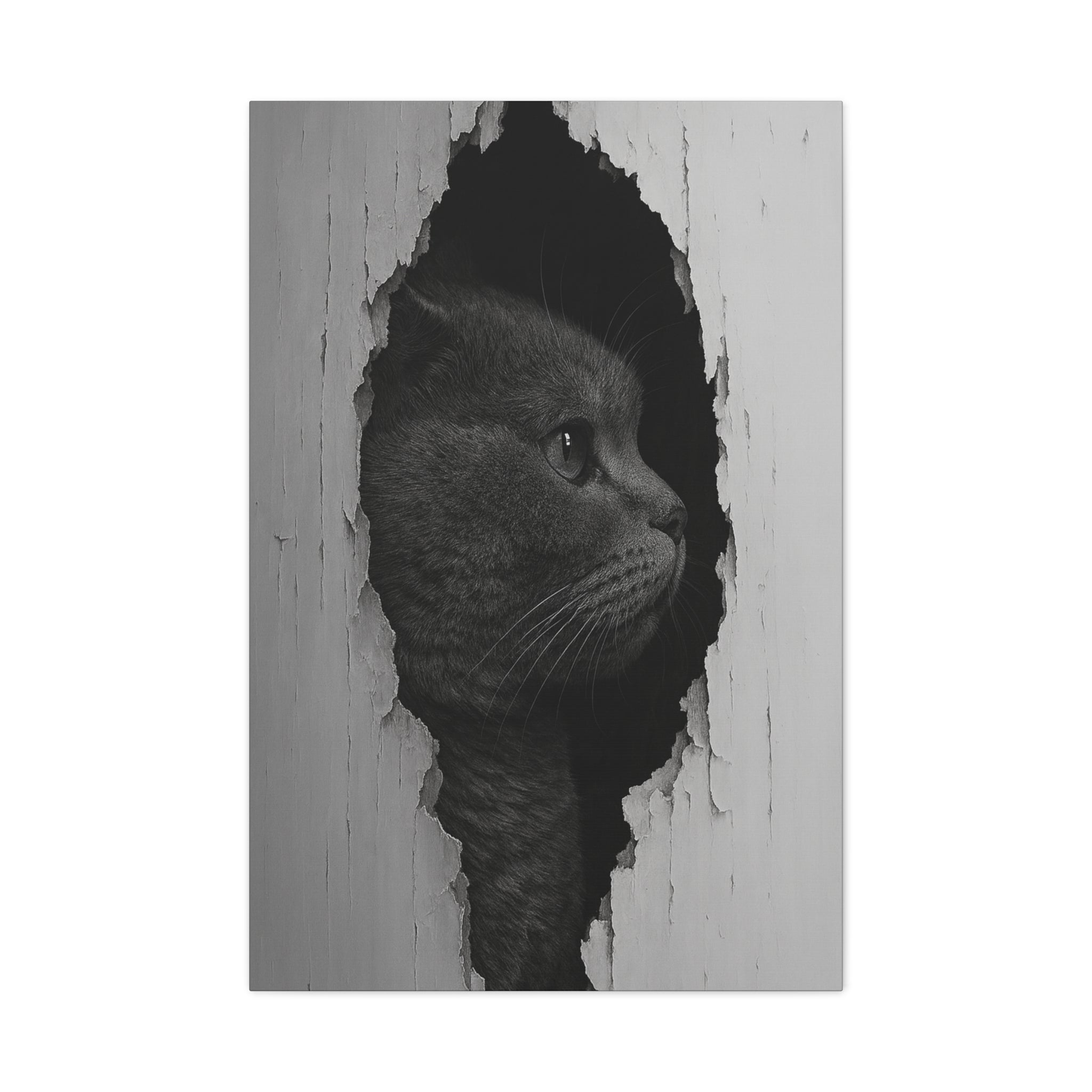British Shorthair Noir Cat Portrait - Side Profile Canvas Wall Art