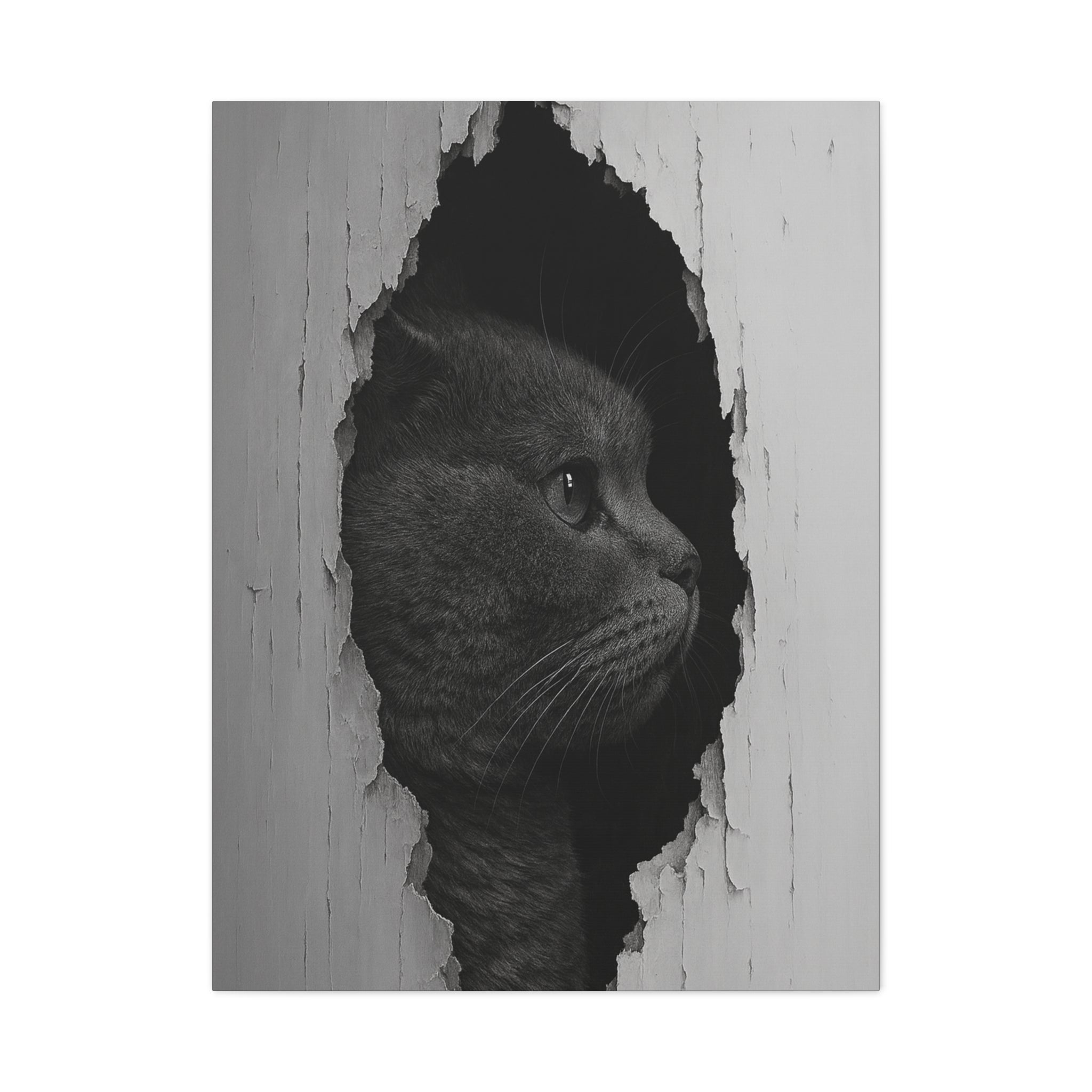 British Shorthair Noir Cat Portrait - Side Profile Canvas Wall Art