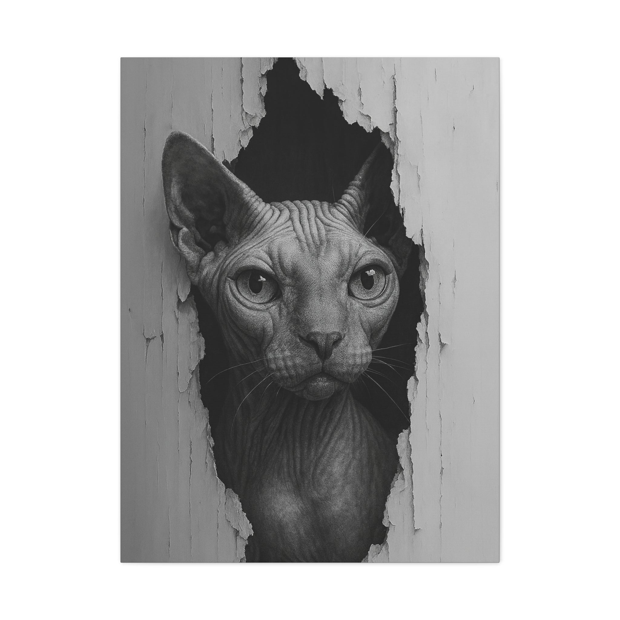 Sphynx Noir Cat Portrait - Front View Canvas Wall Art