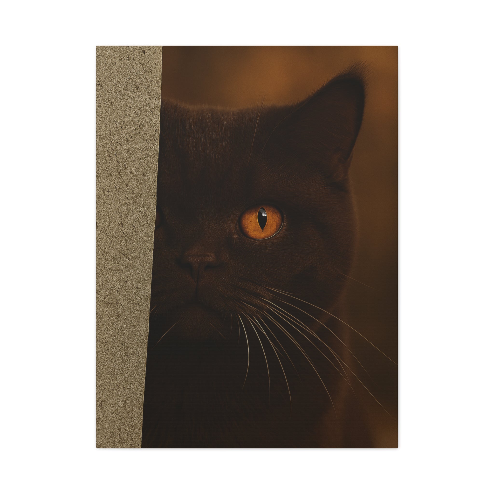 British Shorthair Chocolate Autumn Cat Portrait - Amber Eyes Canvas Wall Art