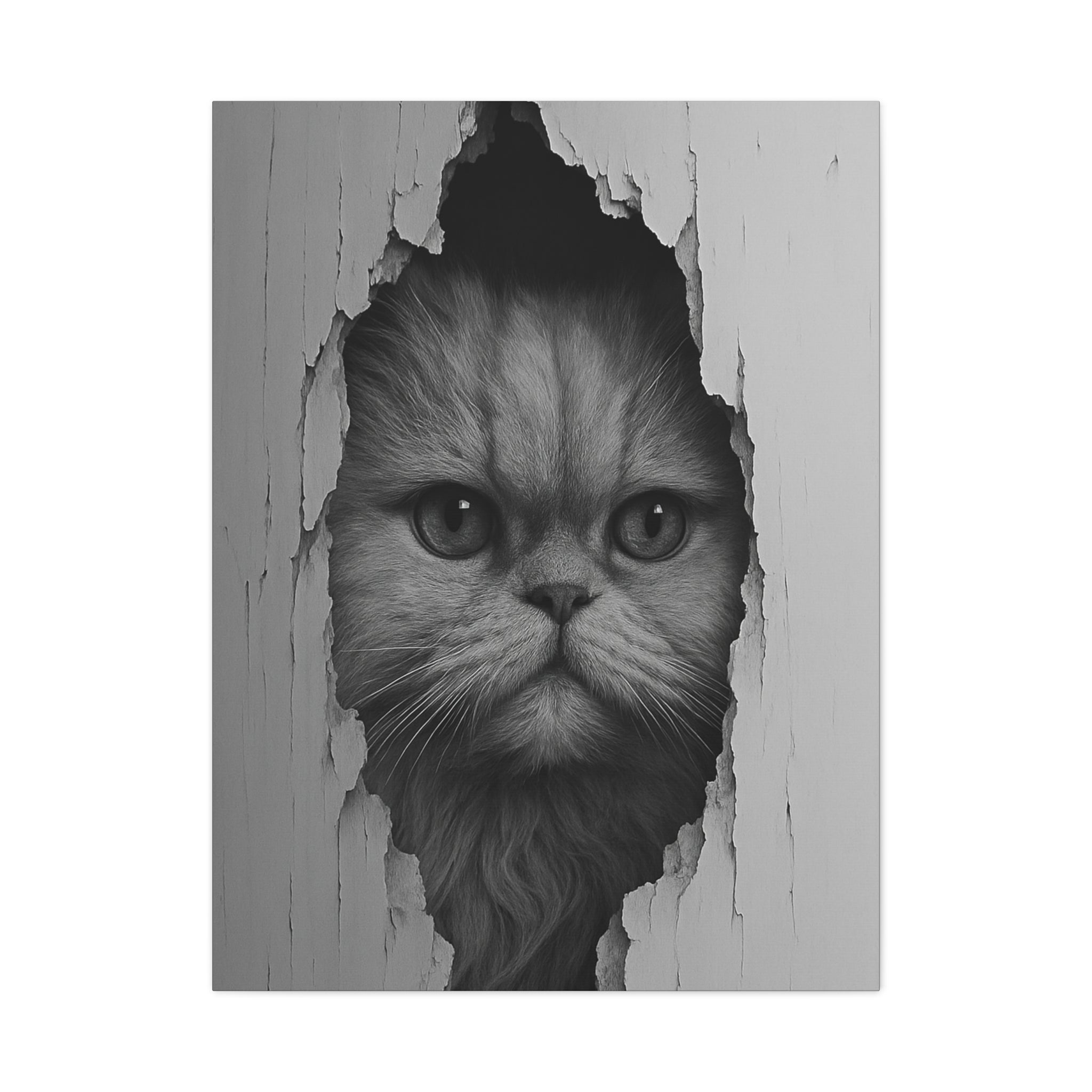 Persian Noir Cat Portrait – Front View Canvas Wall Art