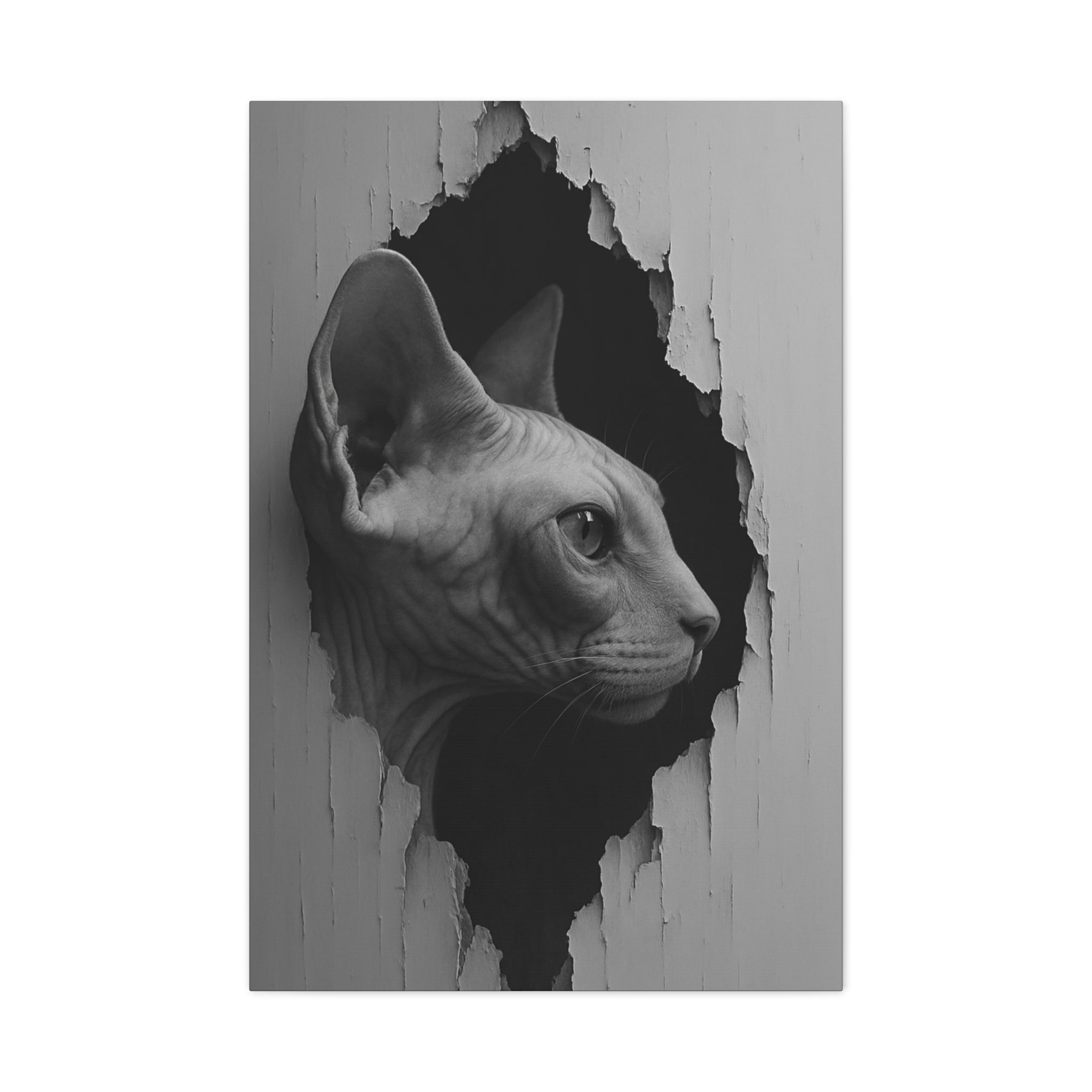 Sphynx Noir Cat Portrait - Side Profile Canvas Wall Art
