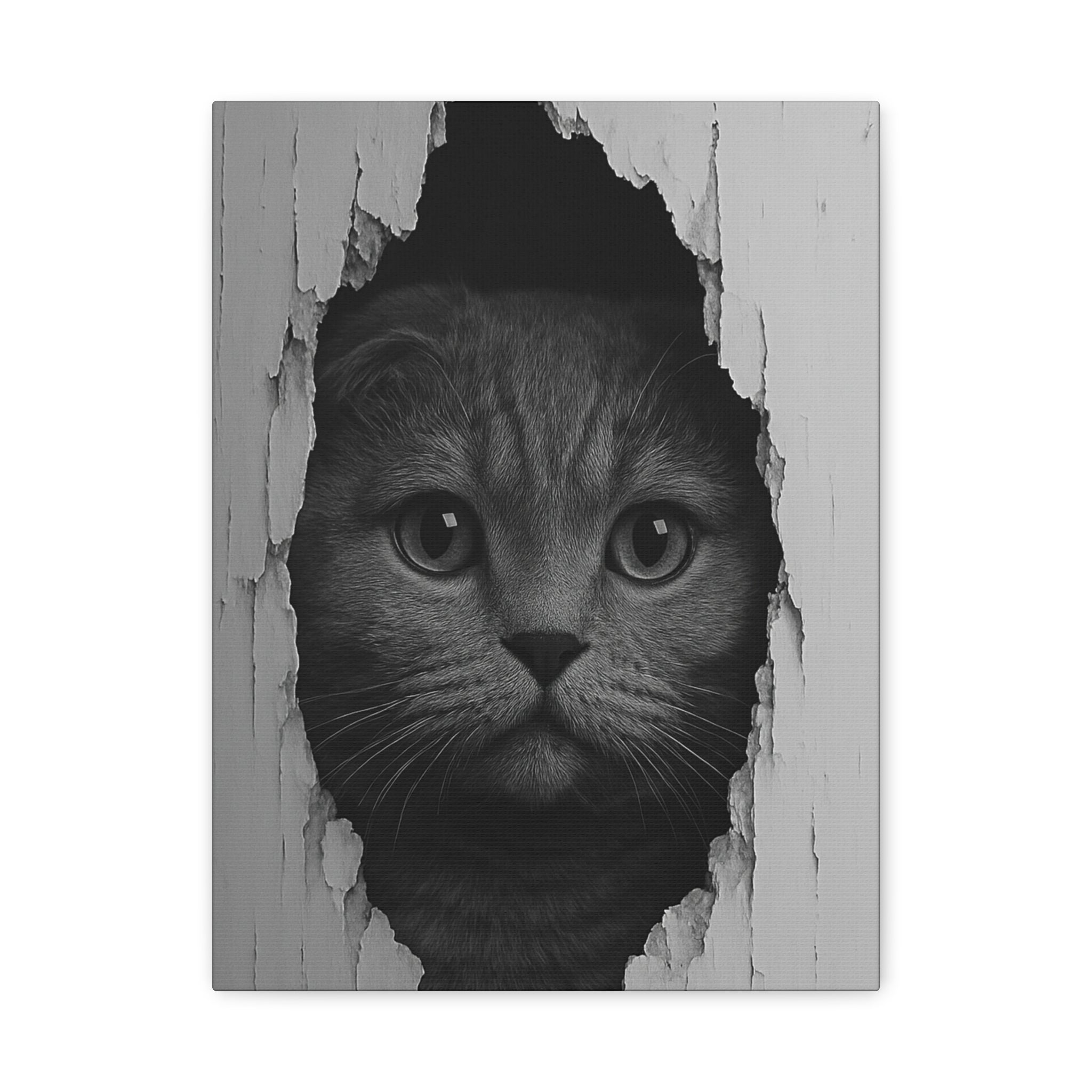 Scottish Fold Noir Cat Portrait – Front View Canvas Wall Art